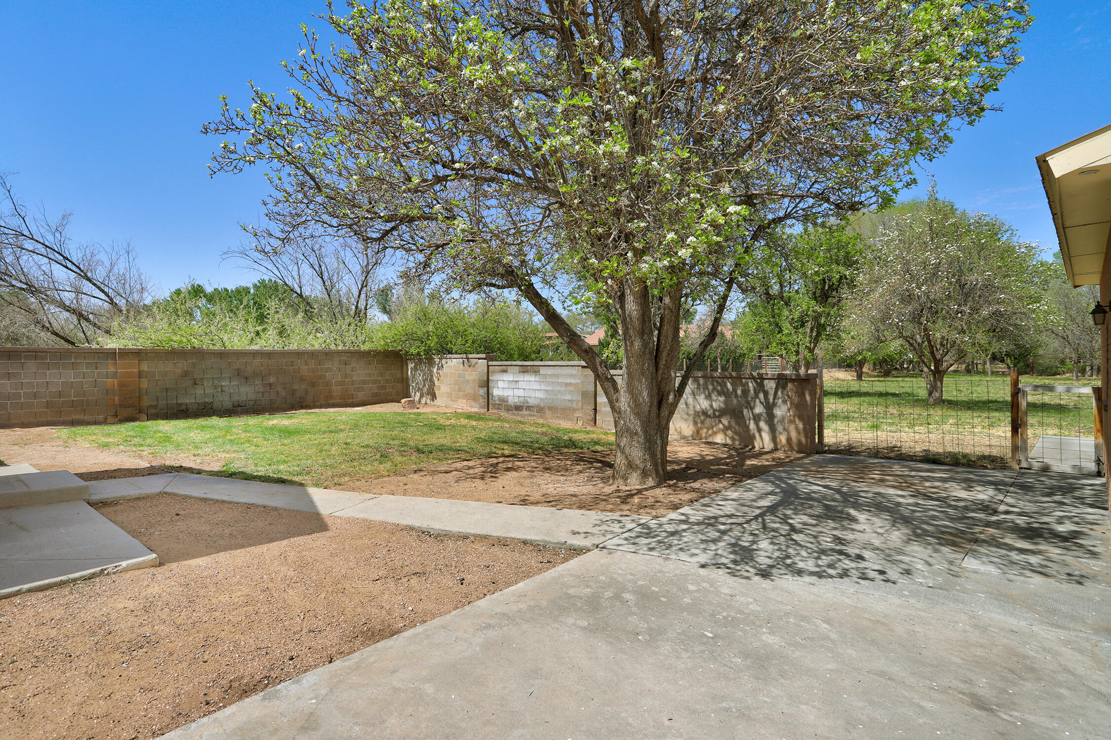 3037 Corrales Road, Corrales, New Mexico image 26