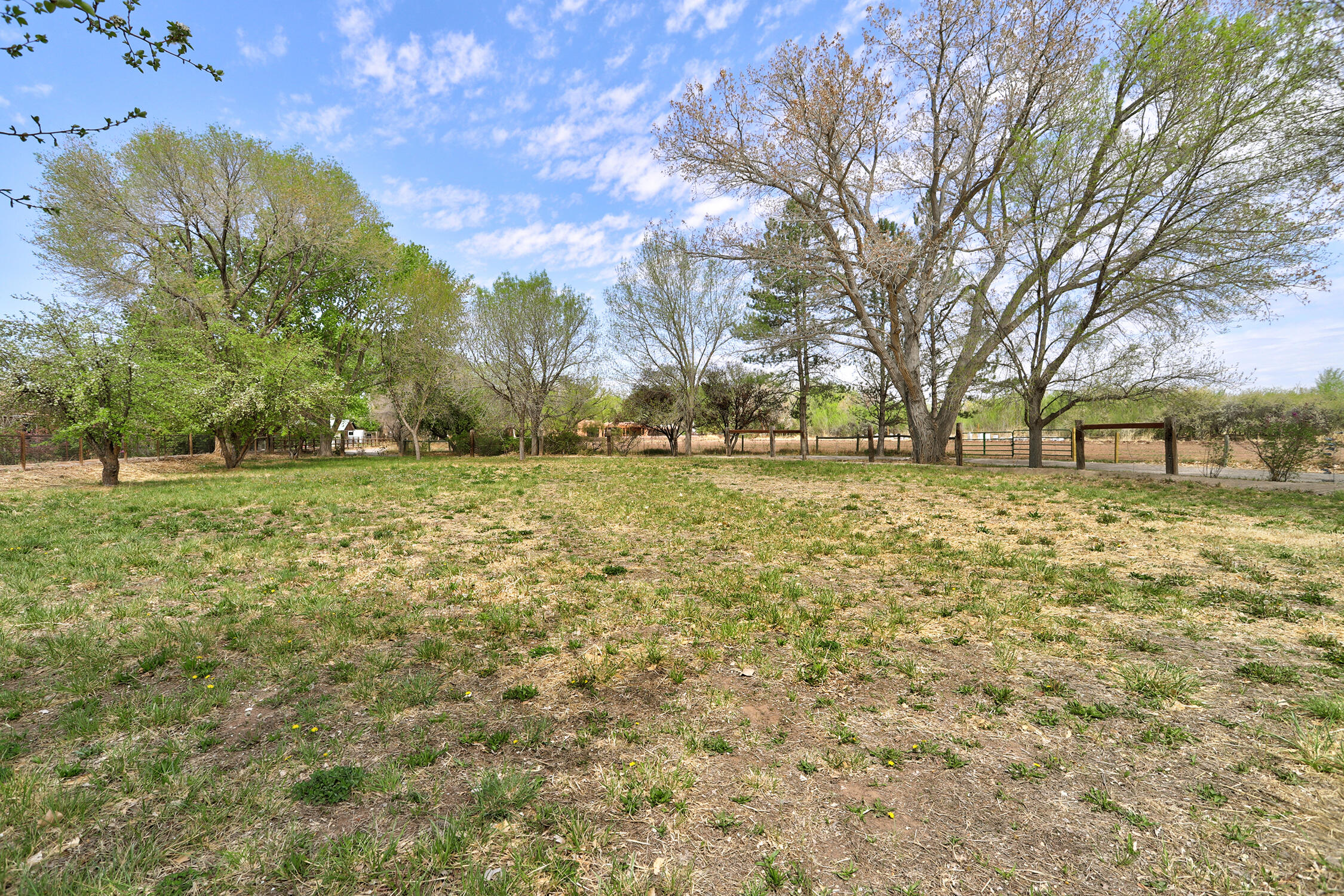 3037 Corrales Road, Corrales, New Mexico image 30