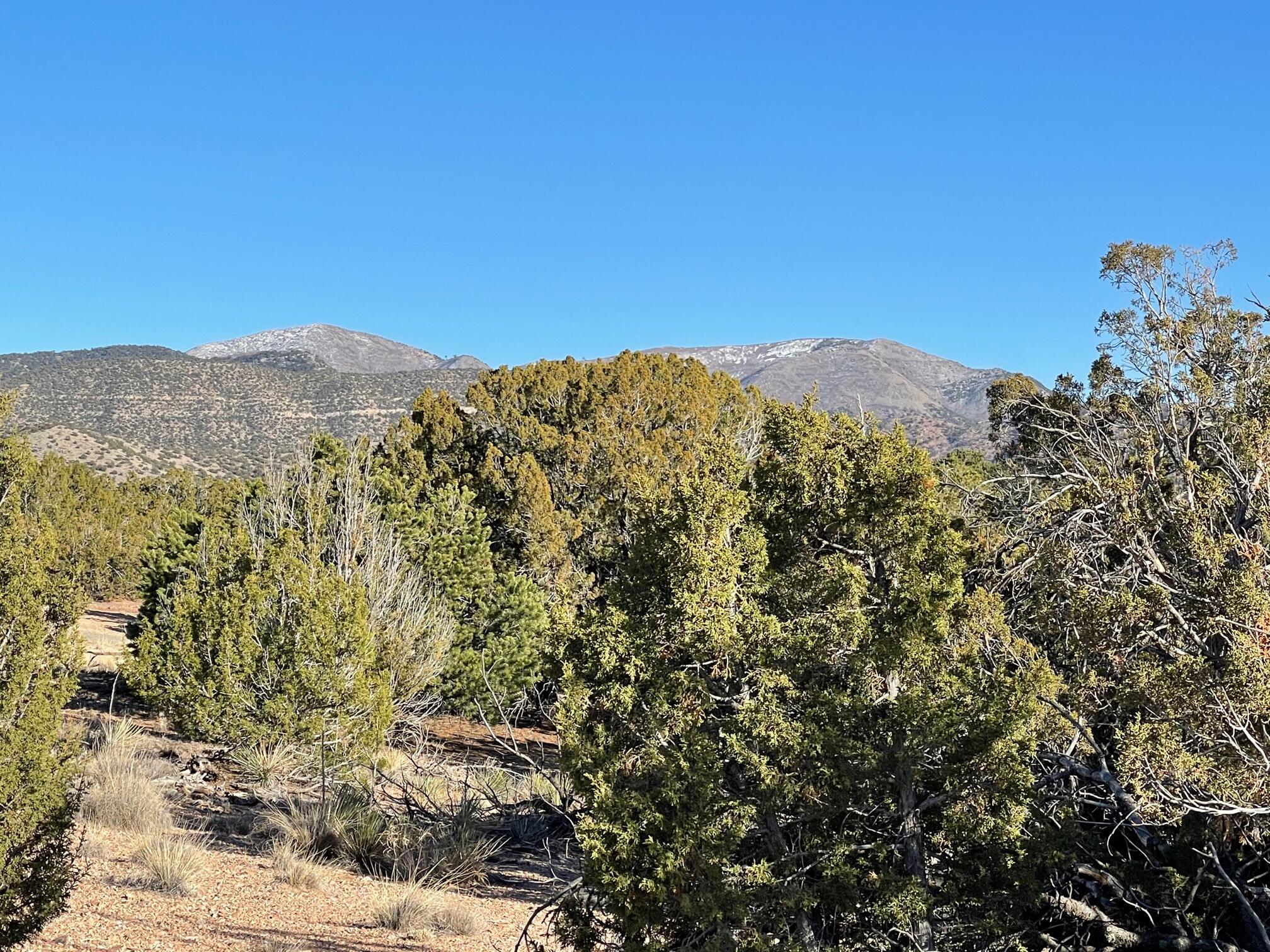 50 Turquoise Drive, Sandia Park, New Mexico image 17