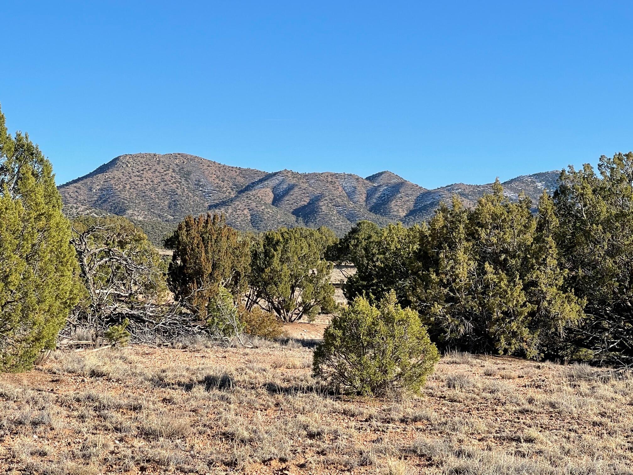 50 Turquoise Drive, Sandia Park, New Mexico image 13