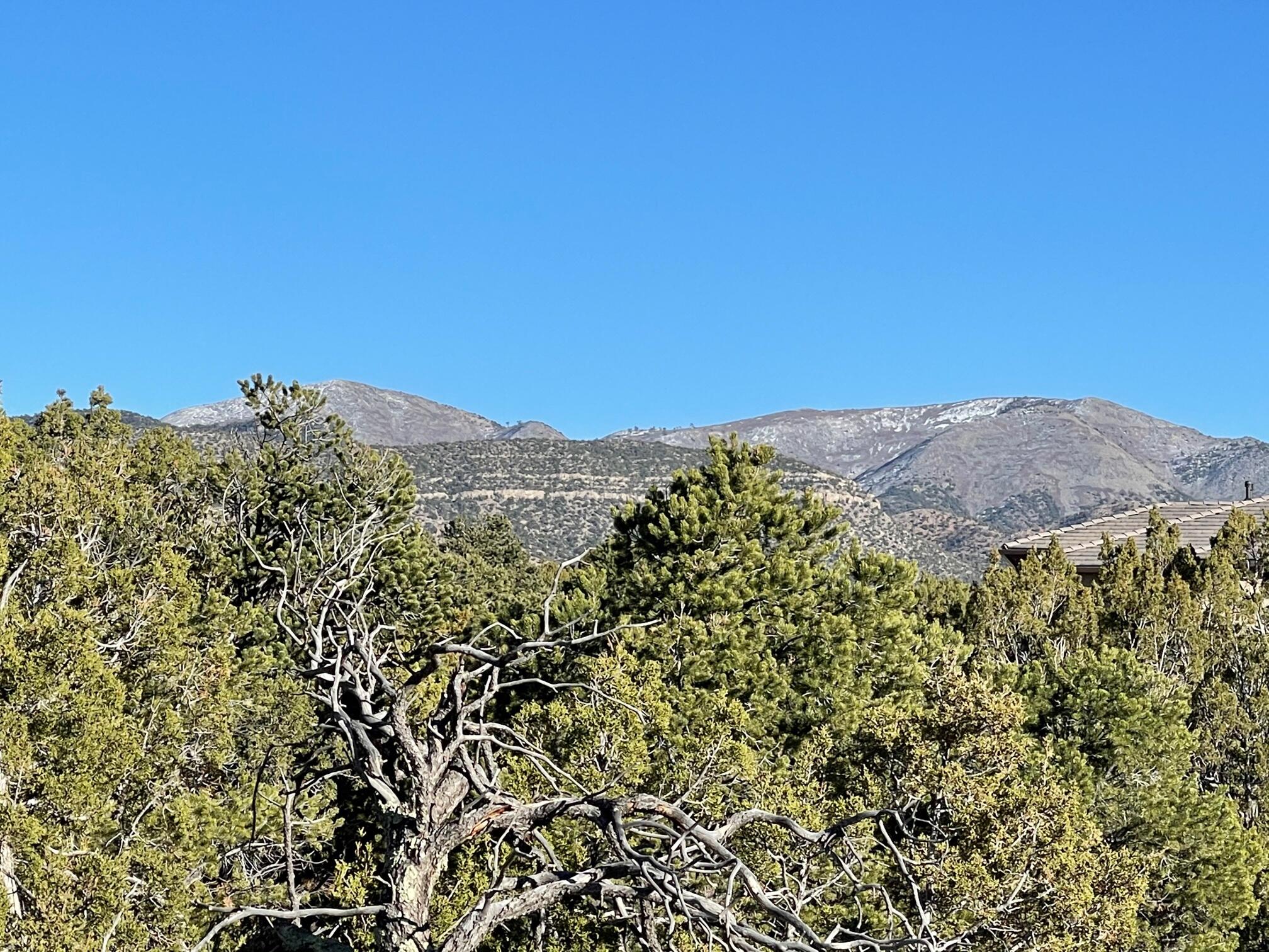 50 Turquoise Drive, Sandia Park, New Mexico image 11