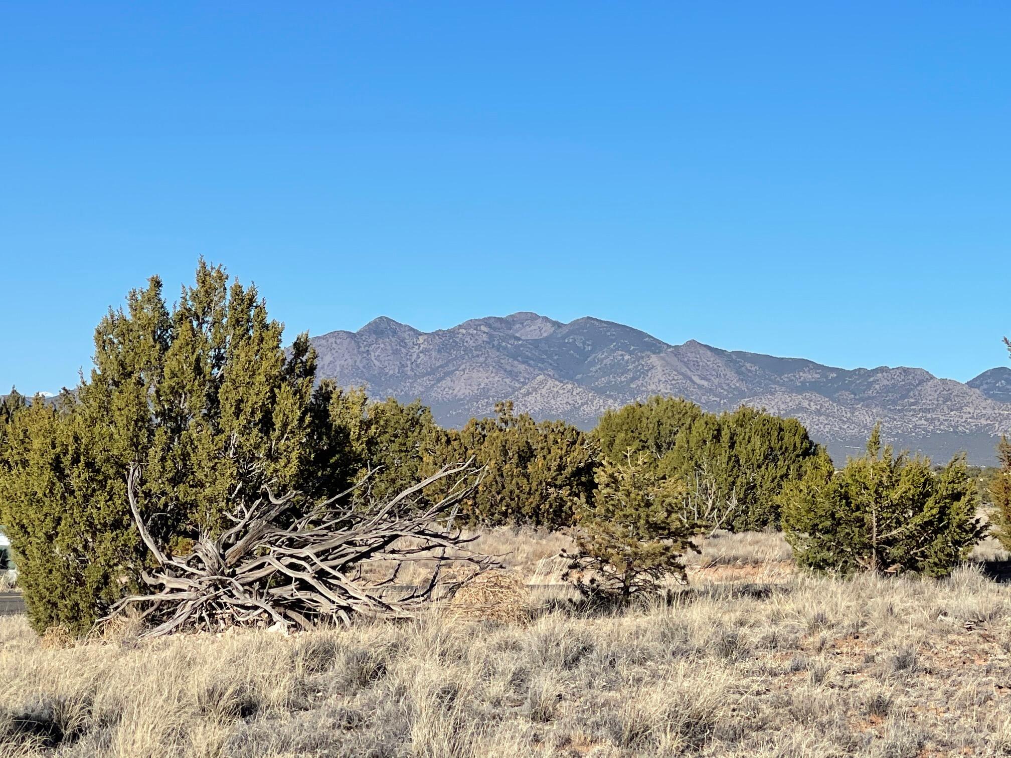 50 Turquoise Drive, Sandia Park, New Mexico image 6