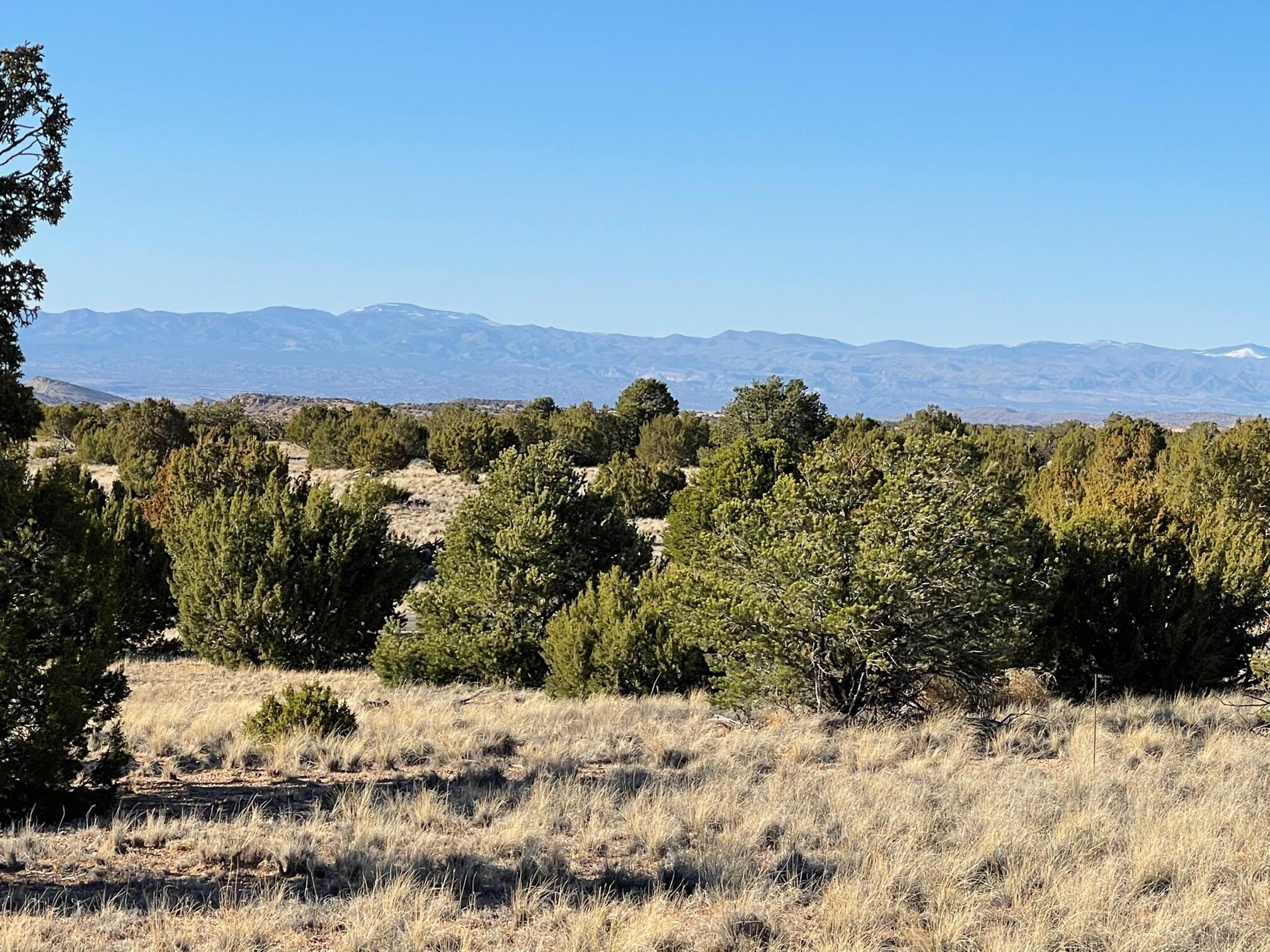 50 Turquoise Drive, Sandia Park, New Mexico image 22