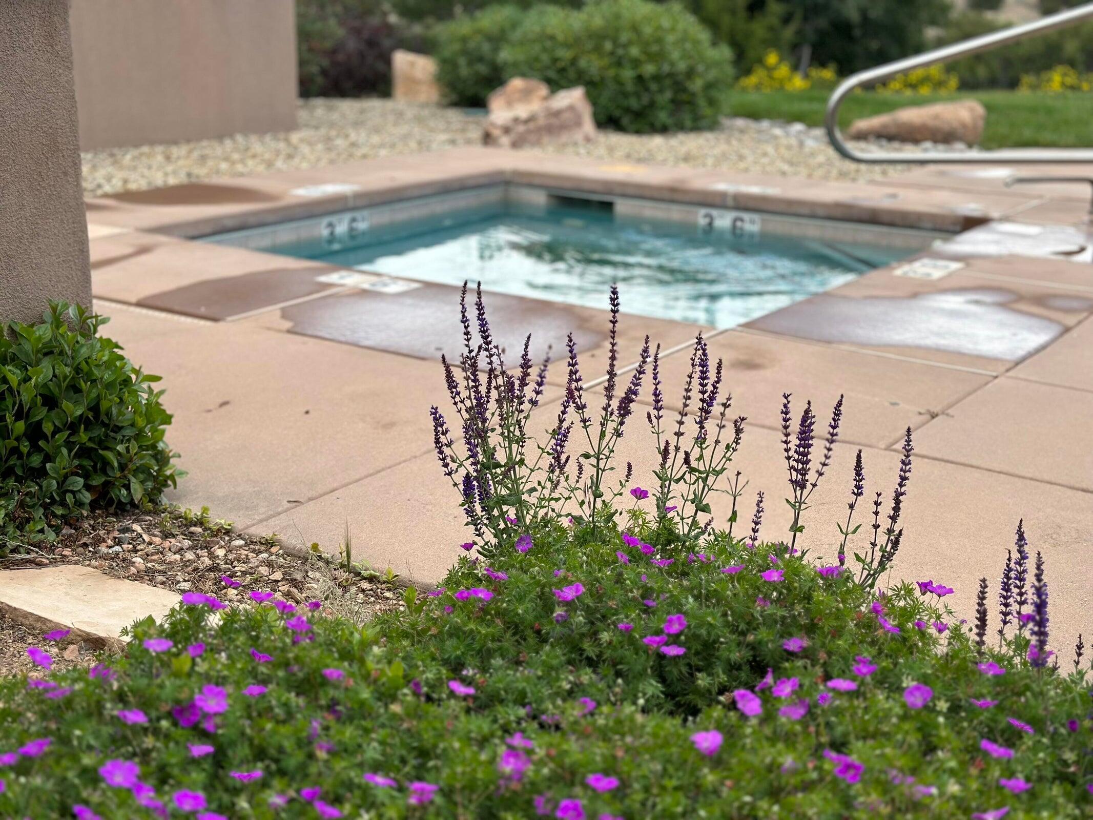 50 Turquoise Drive, Sandia Park, New Mexico image 26