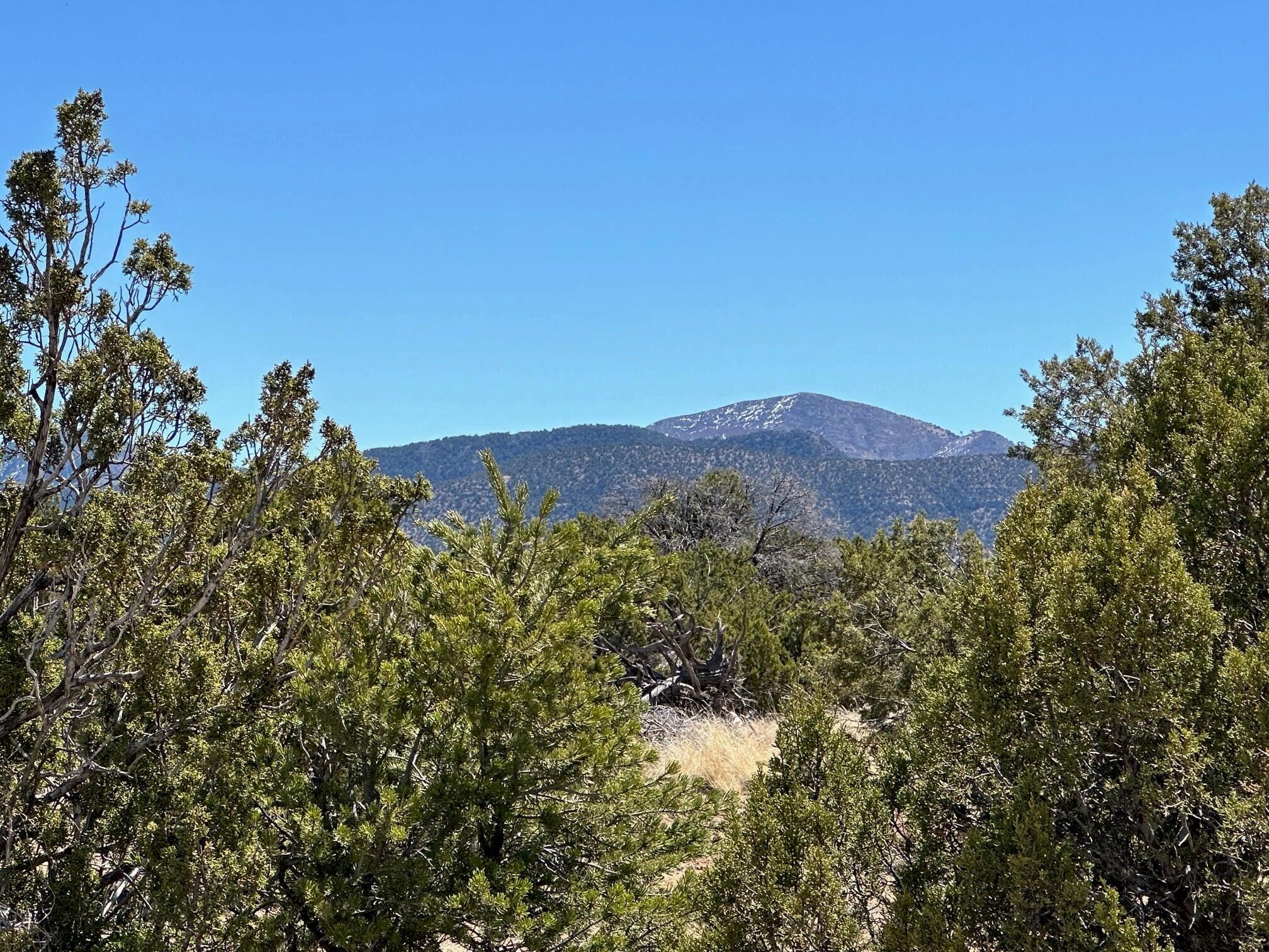50 Turquoise Drive, Sandia Park, New Mexico image 10