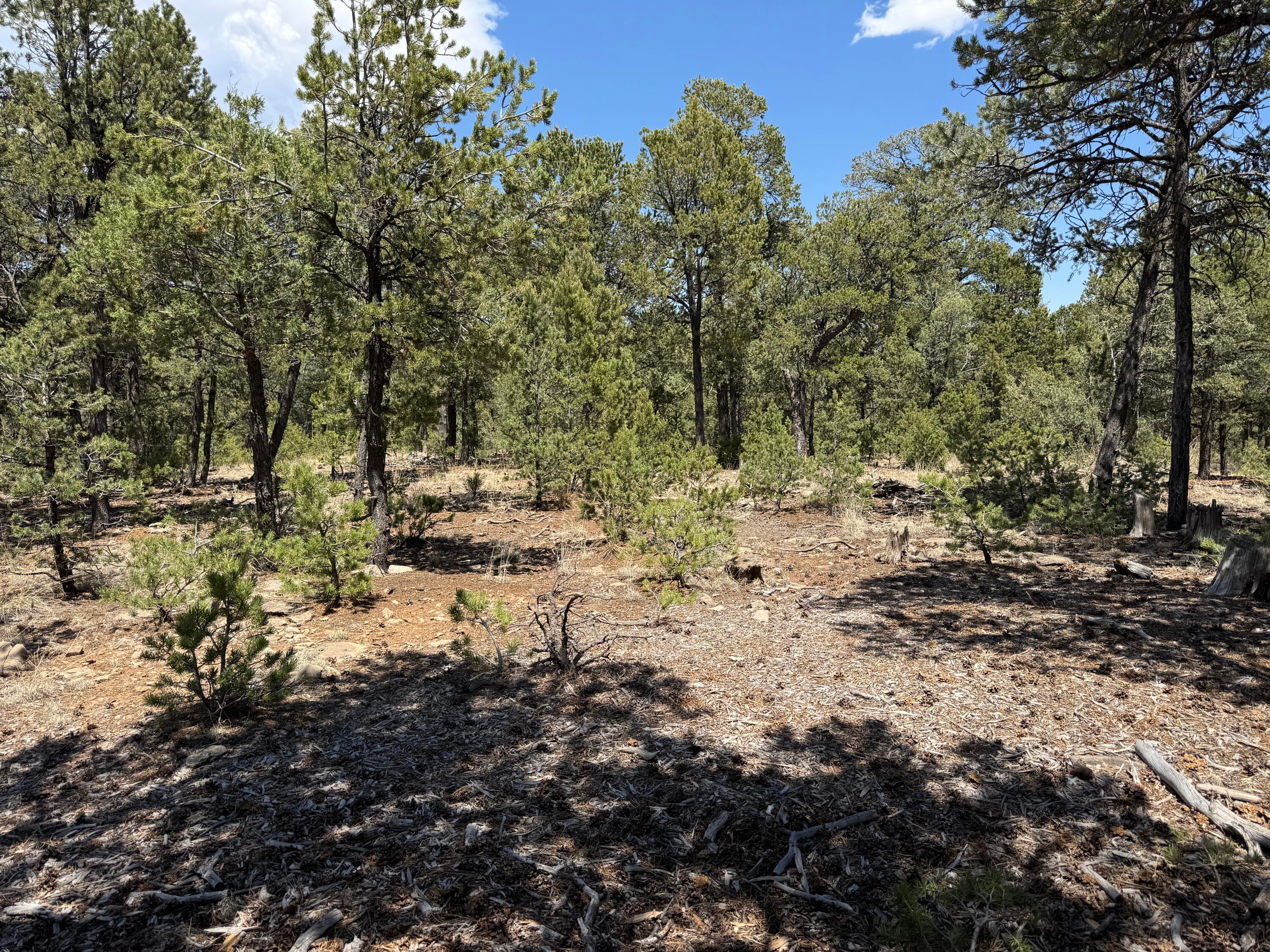 Lot 20 Dancing Hawk Drive