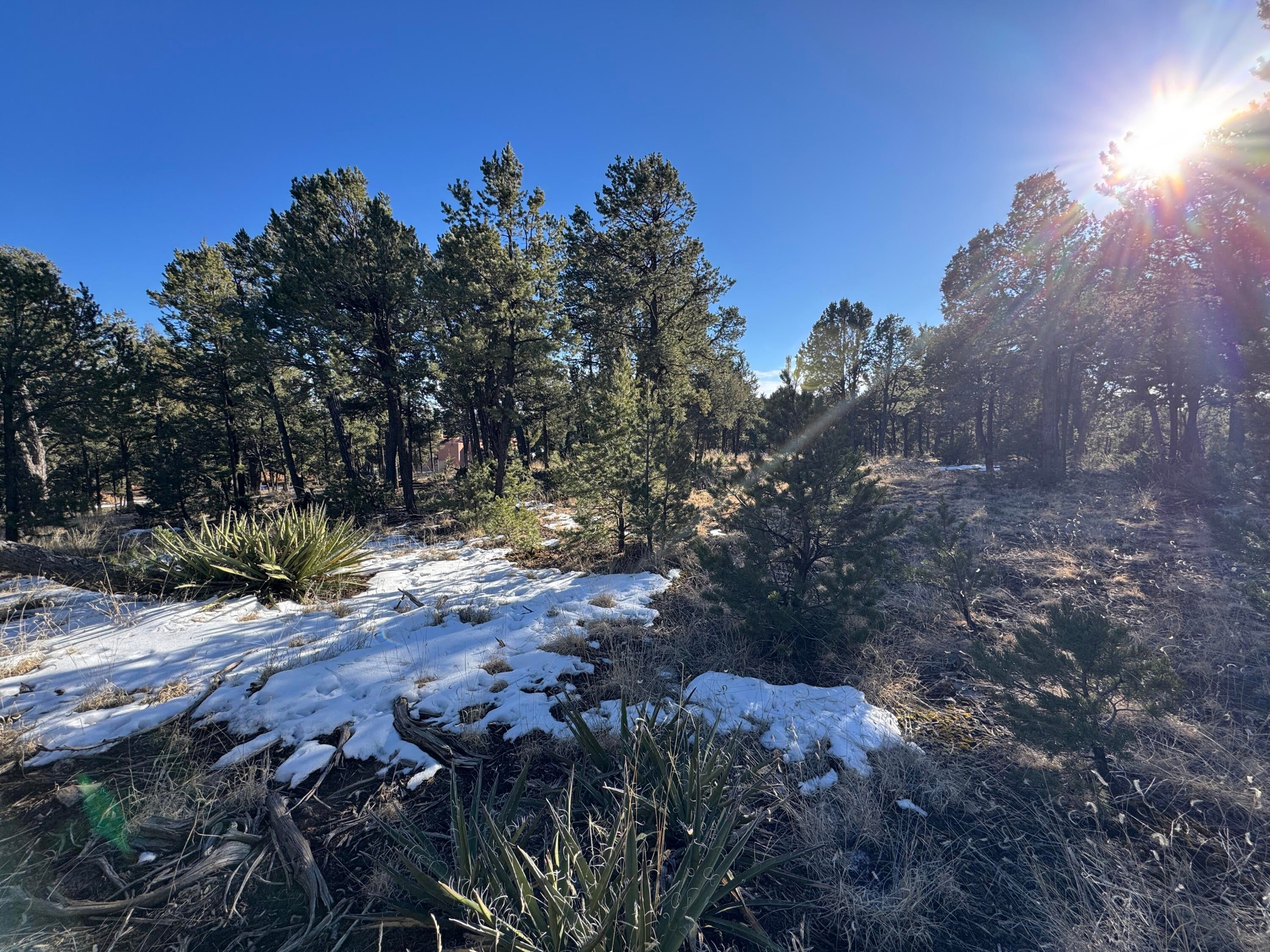 Lot 20 Dancing Hawk Drive