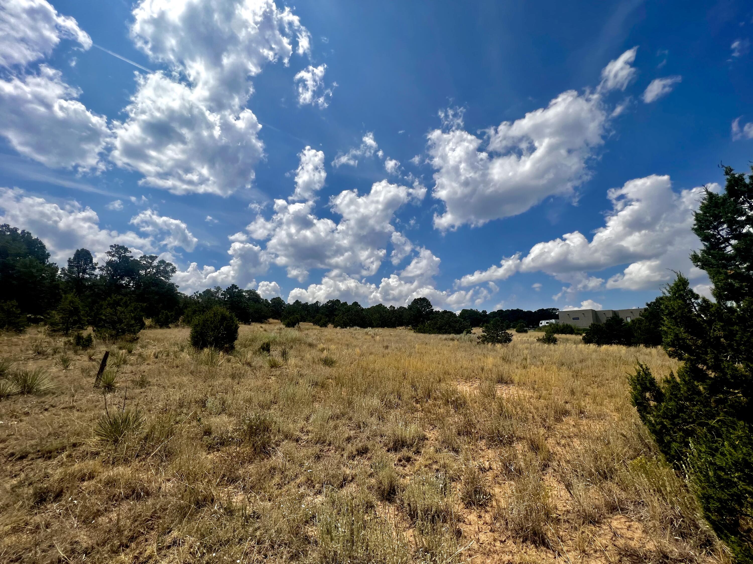 6 Wildcat Ct Court, Tijeras, New Mexico image 4