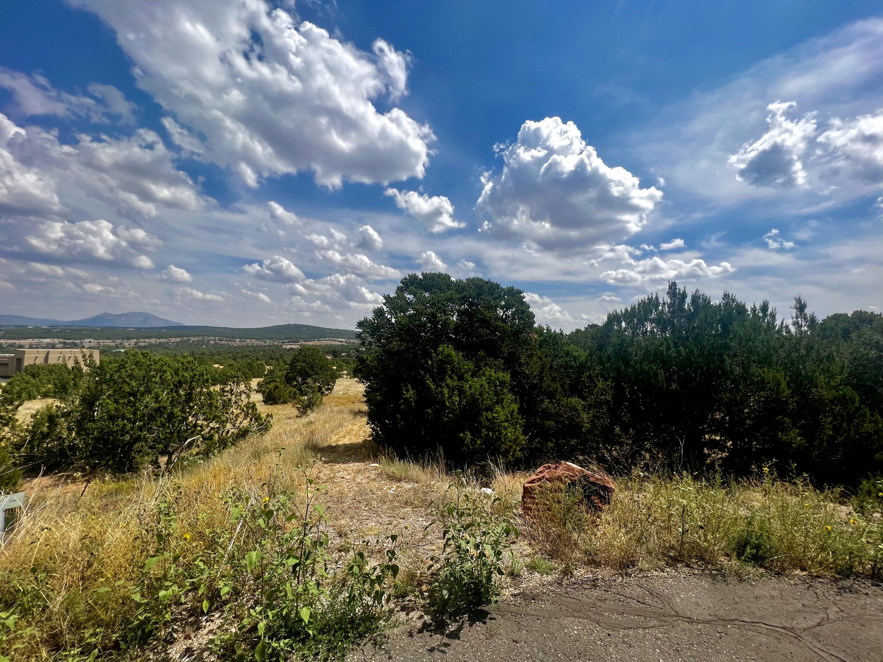 6 Wildcat Ct Court, Tijeras, New Mexico image 11