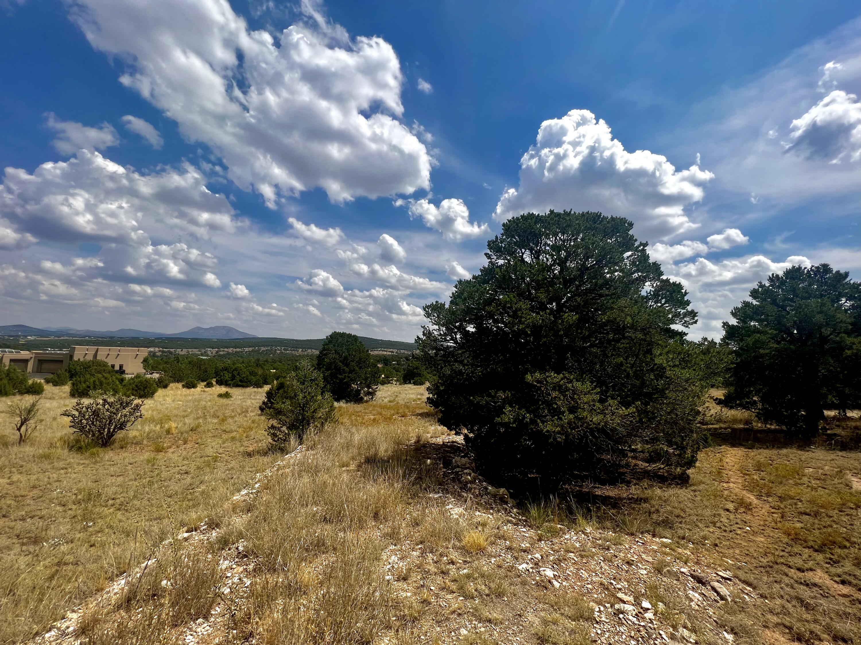 6 Wildcat Ct Court, Tijeras, New Mexico image 10