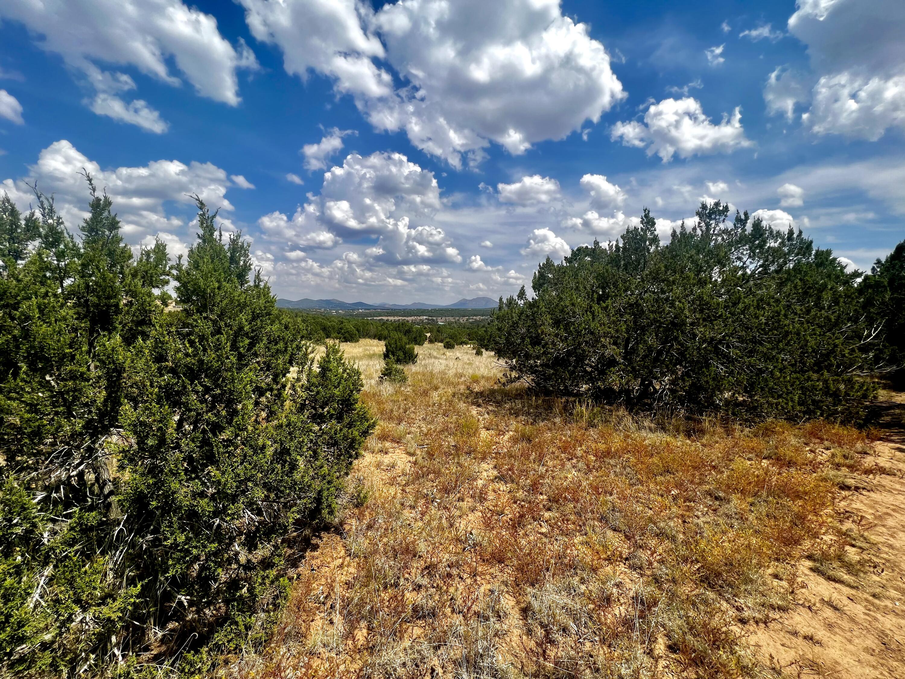 6 Wildcat Ct Court, Tijeras, New Mexico image 9