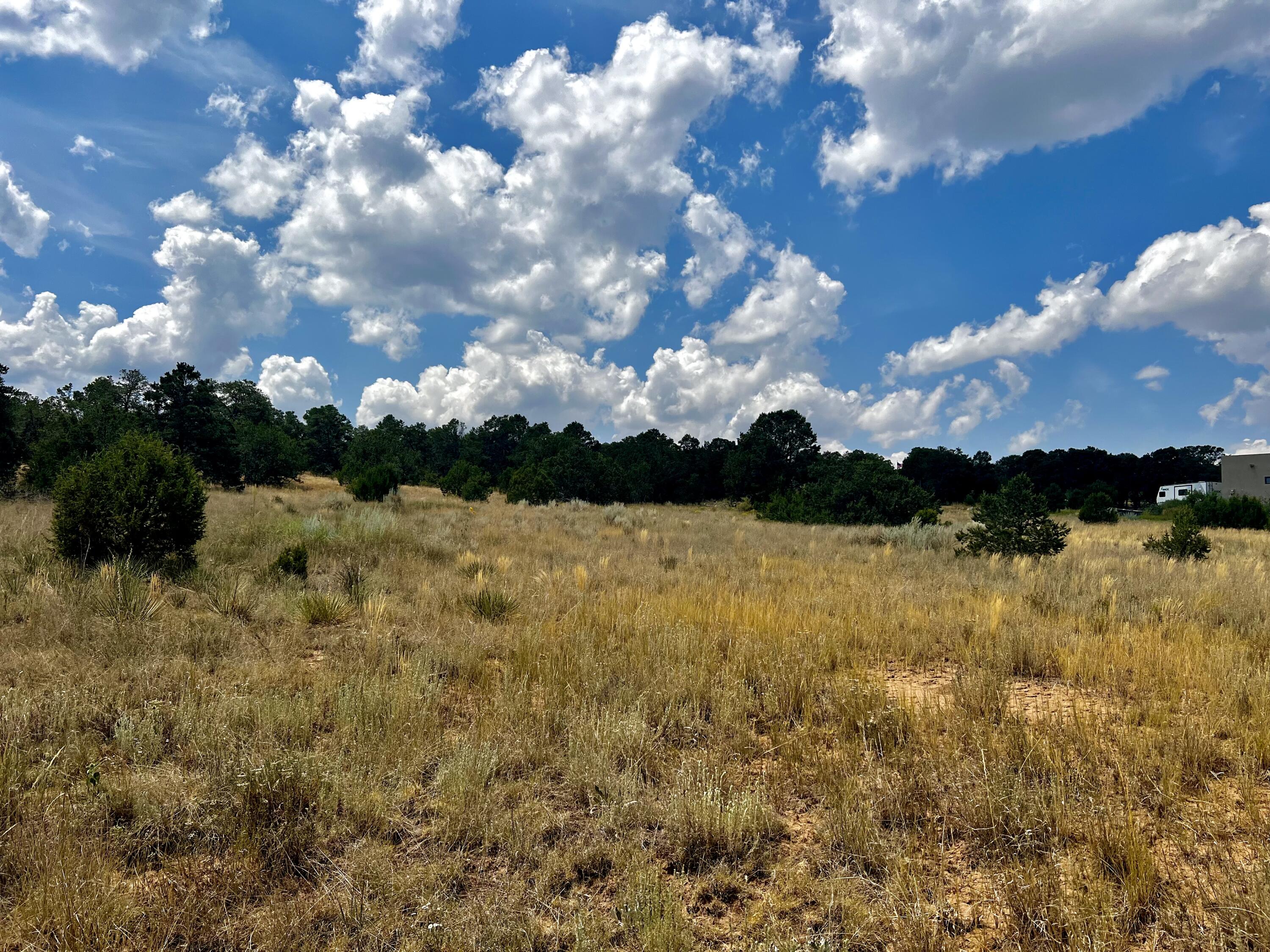 6 Wildcat Ct Court, Tijeras, New Mexico image 2