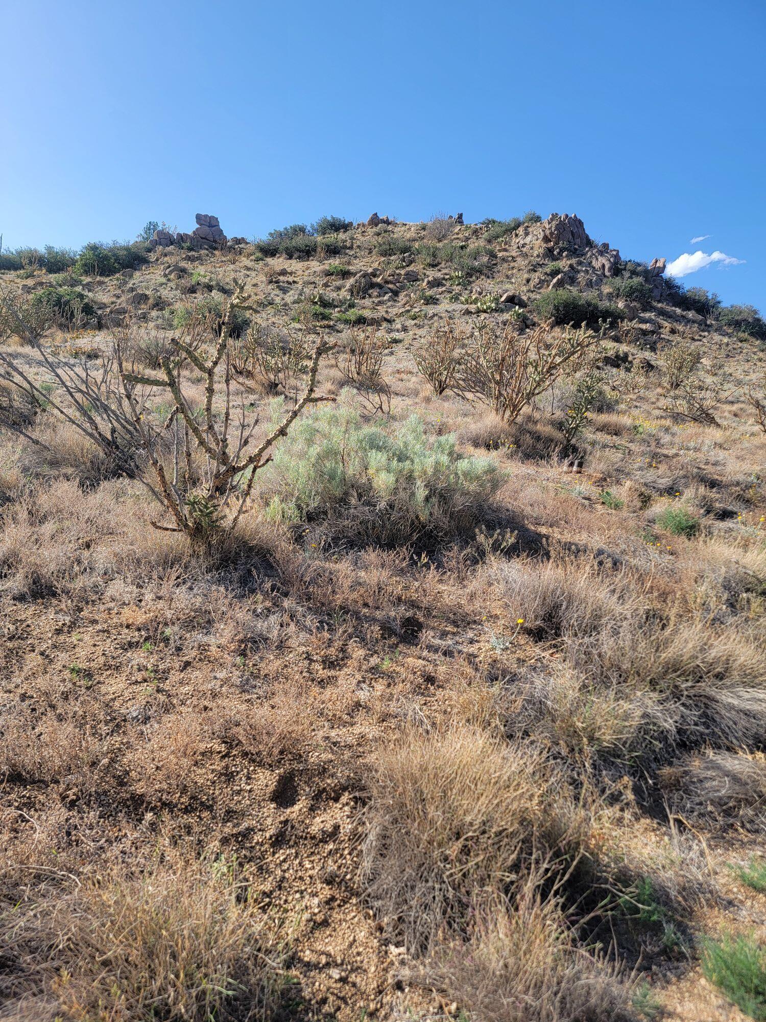 1215 Hideaway Lane, Albuquerque, New Mexico image 16