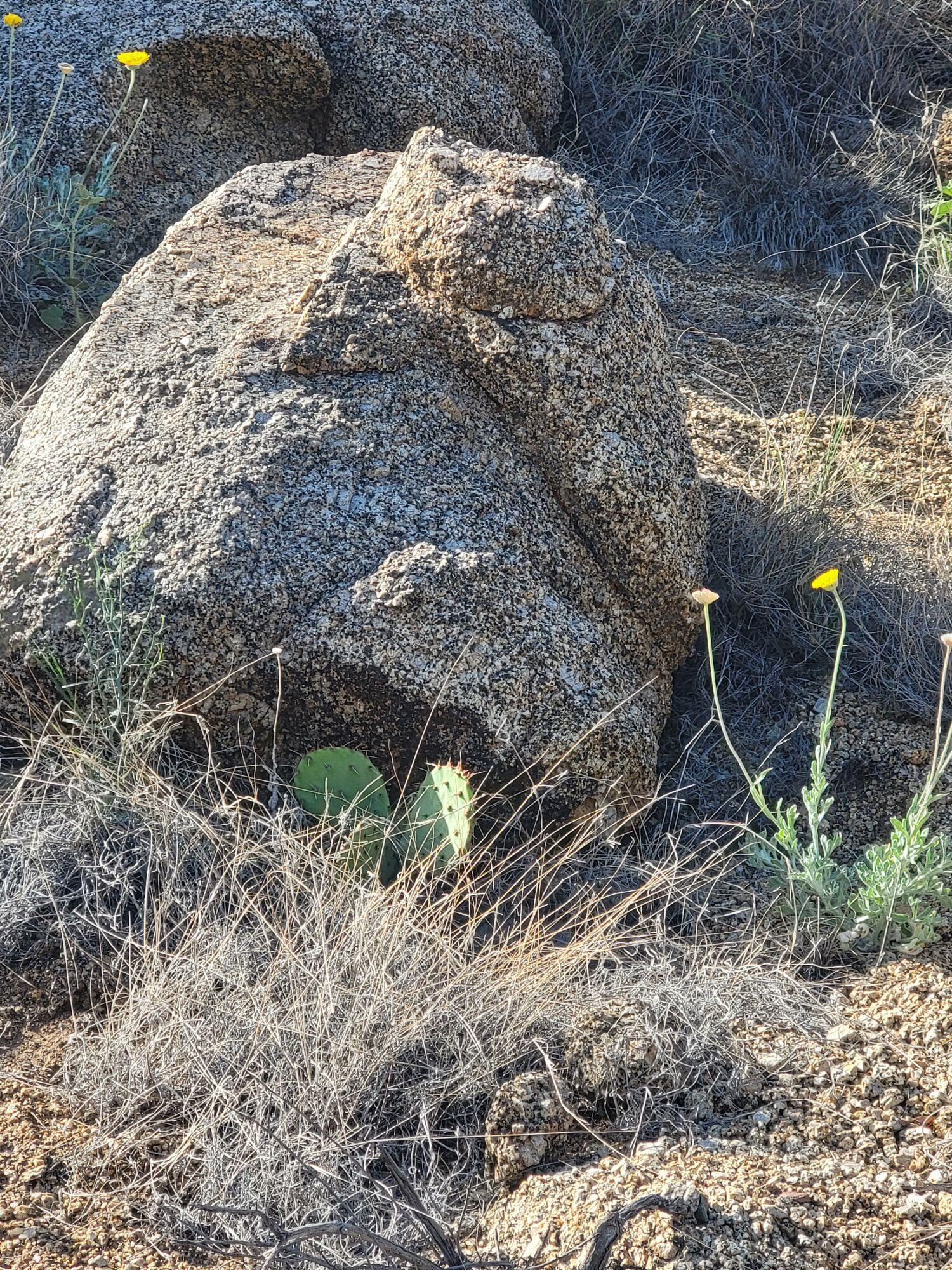 1215 Hideaway Lane, Albuquerque, New Mexico image 12