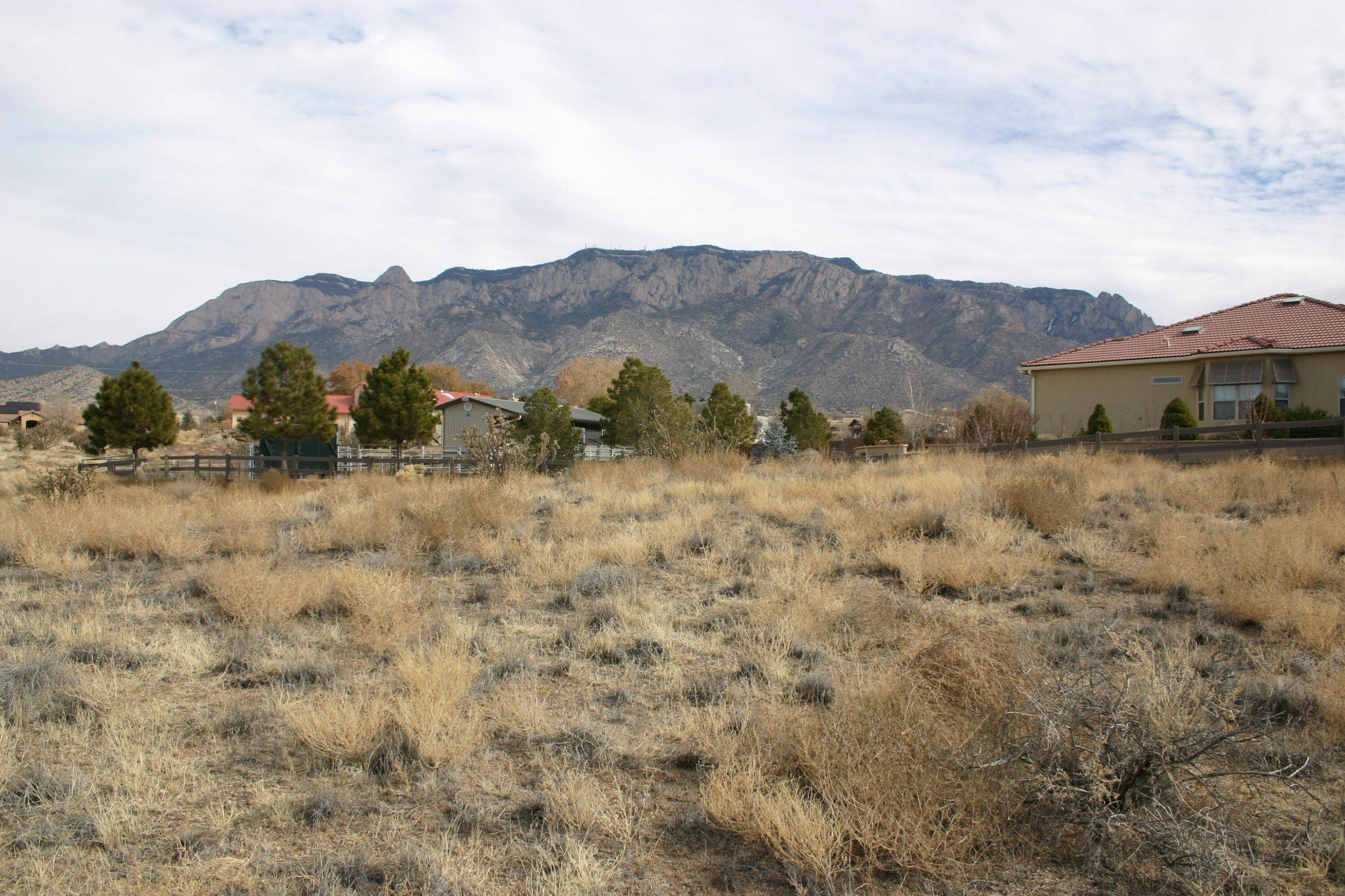 10867 Signal Avenue, Albuquerque, New Mexico image 3