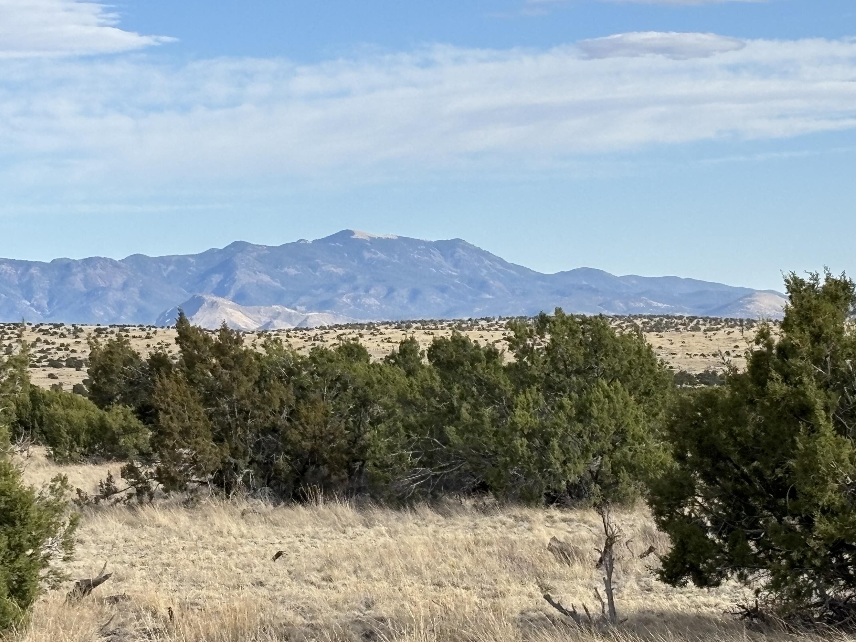 Lot 24 Pinon Springs Road, Magdalena, New Mexico image 3