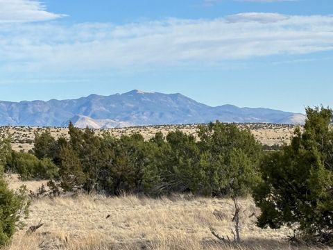 Vacant Land For Sale - Lot 24 Pinon Springs Road<br/> Magdalena, NM 87825