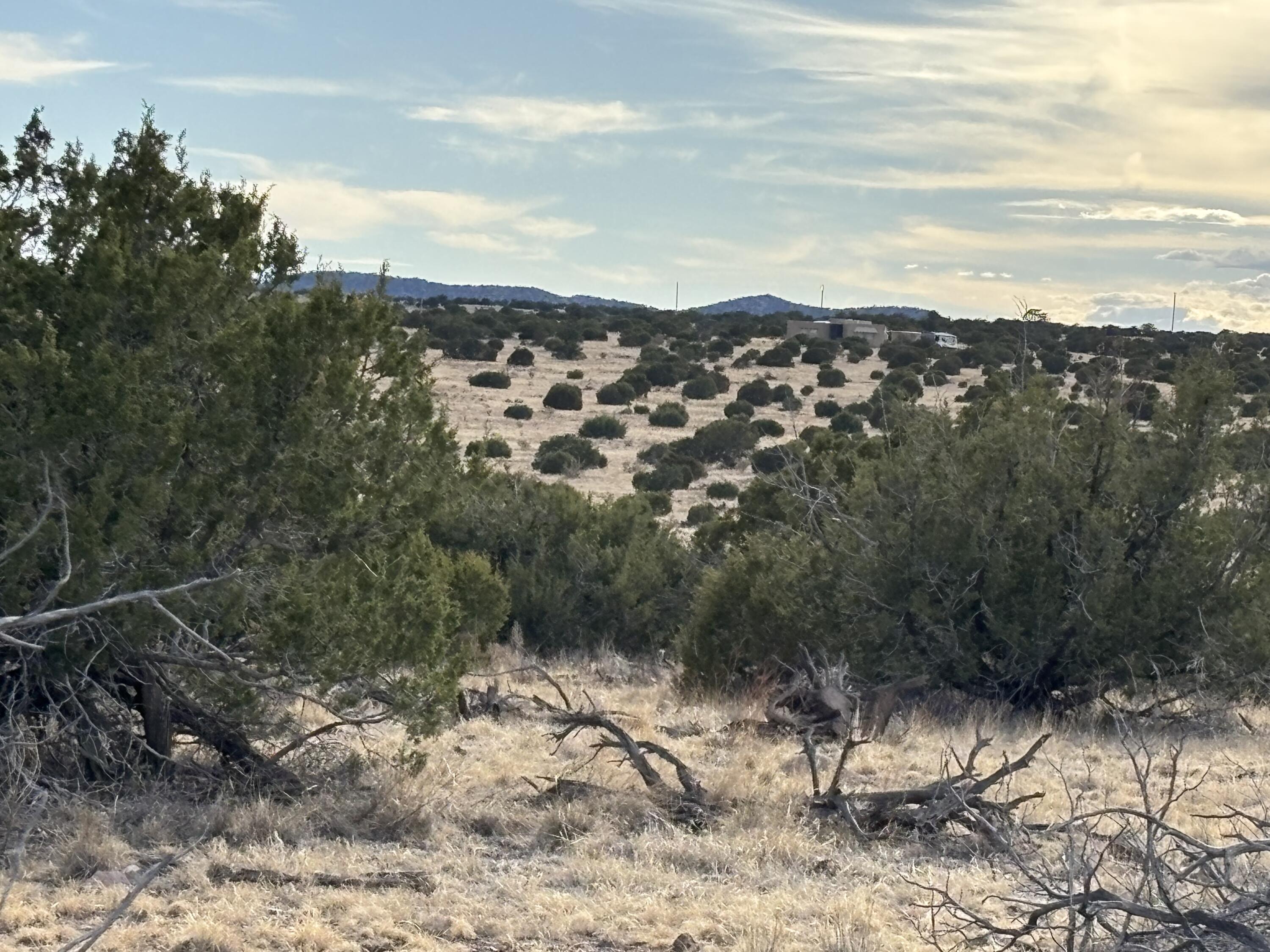 Lot 24 Pinon Springs Road, Magdalena, New Mexico image 4