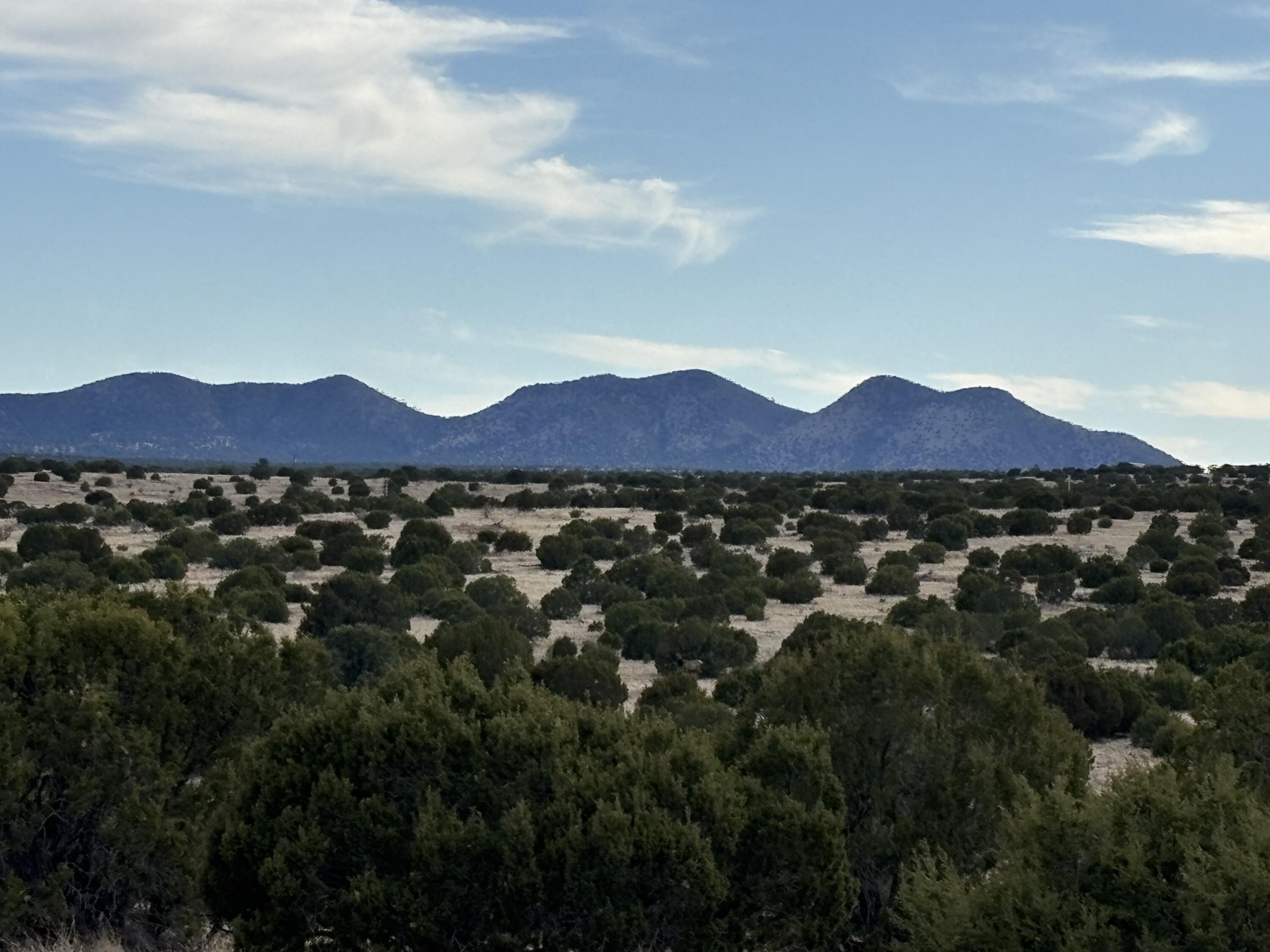 Lot 24 Pinon Springs Road, Magdalena, New Mexico image 1