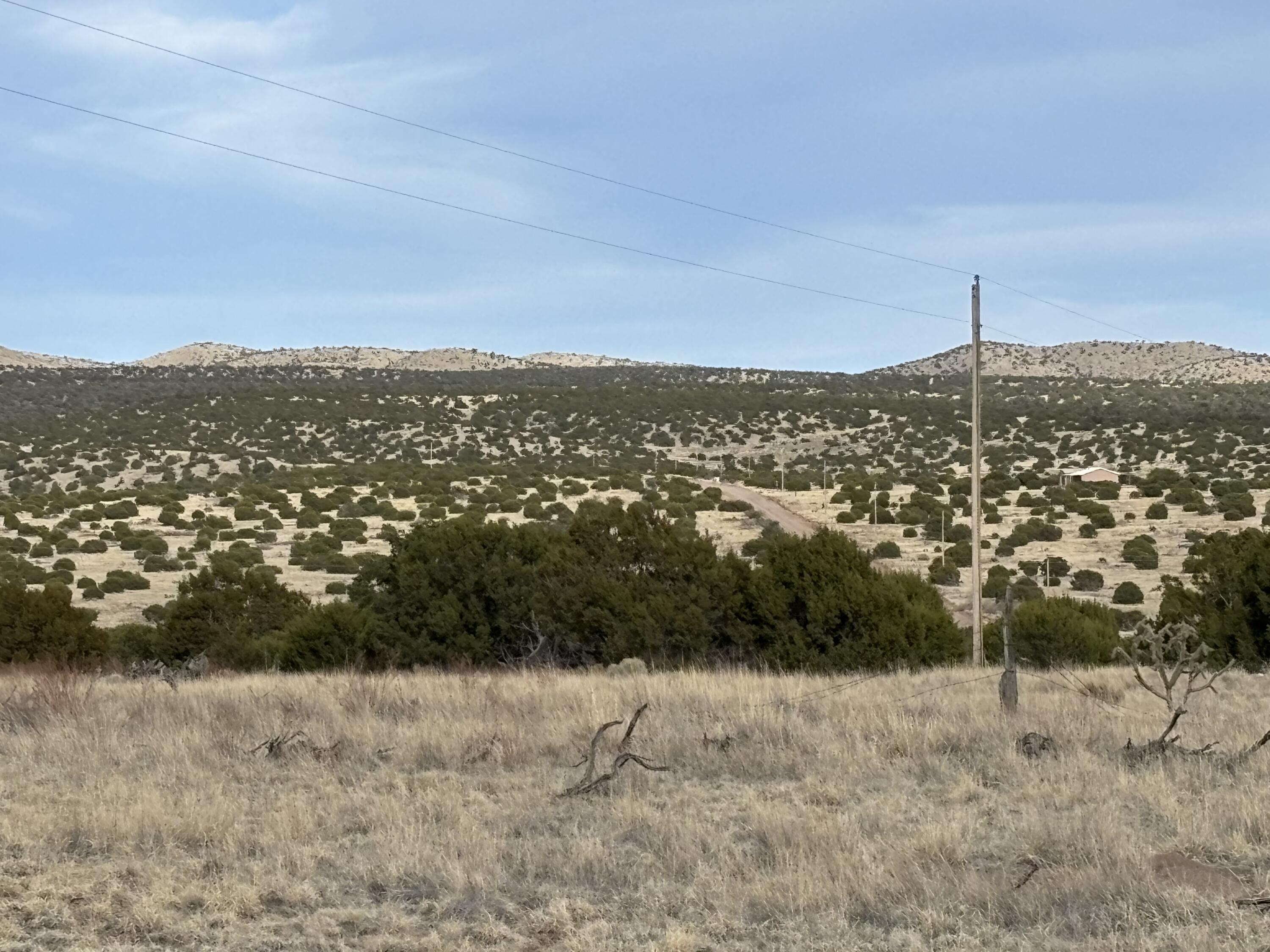 Lot 24 Pinon Springs Road, Magdalena, New Mexico image 7