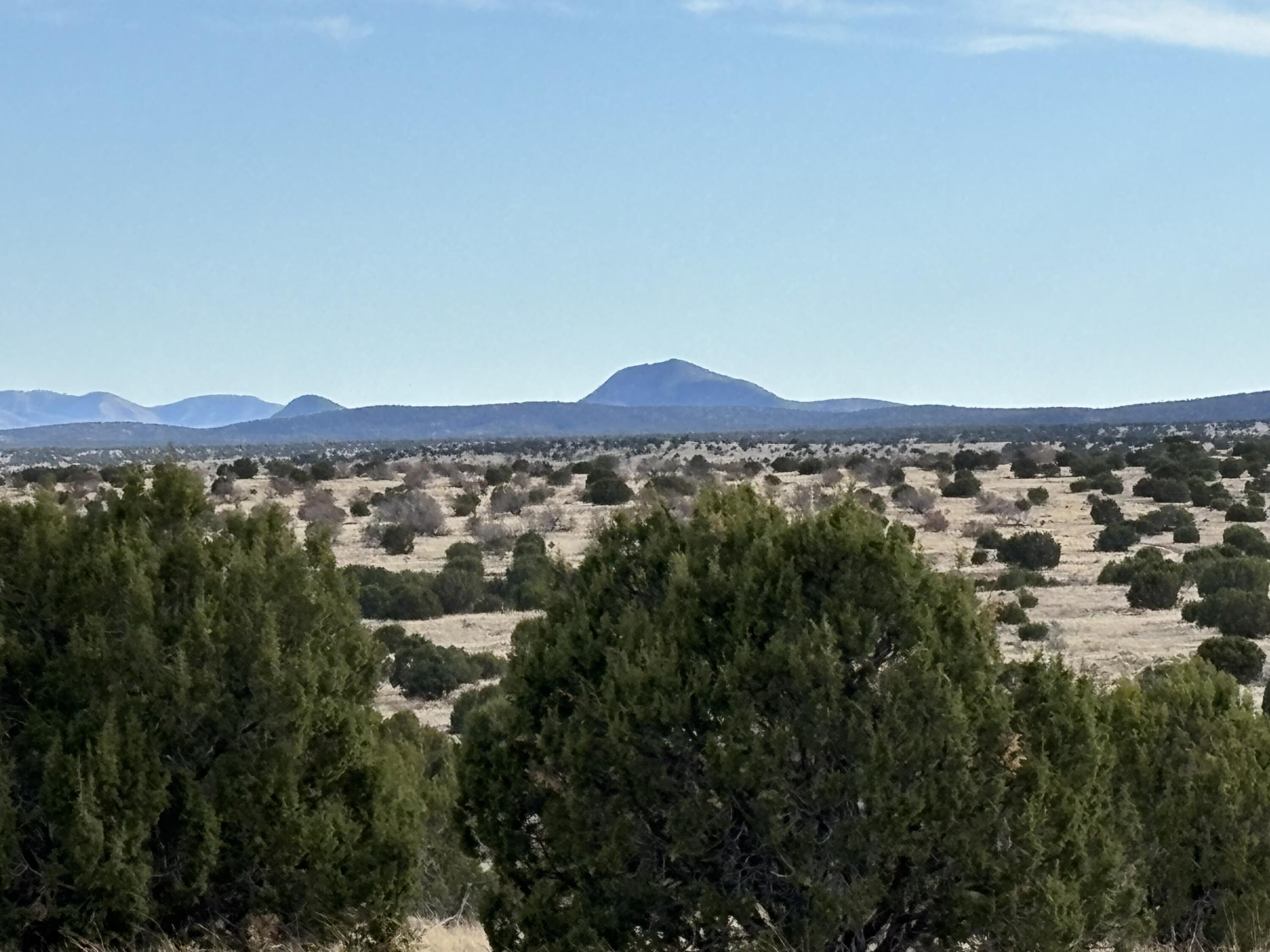 Lot 24 Pinon Springs Road, Magdalena, New Mexico image 5