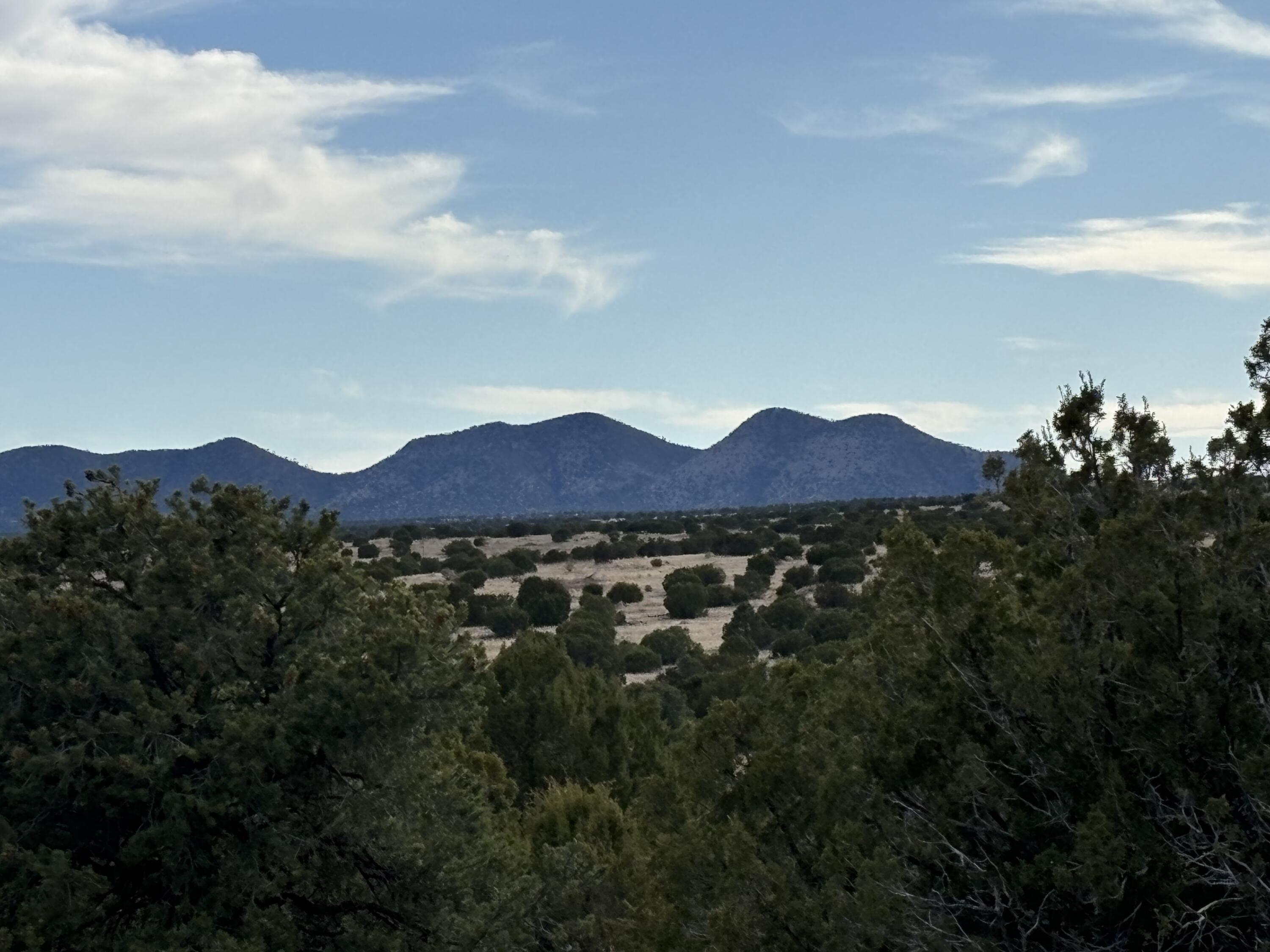 Lot 24 Pinon Springs Road, Magdalena, New Mexico image 6