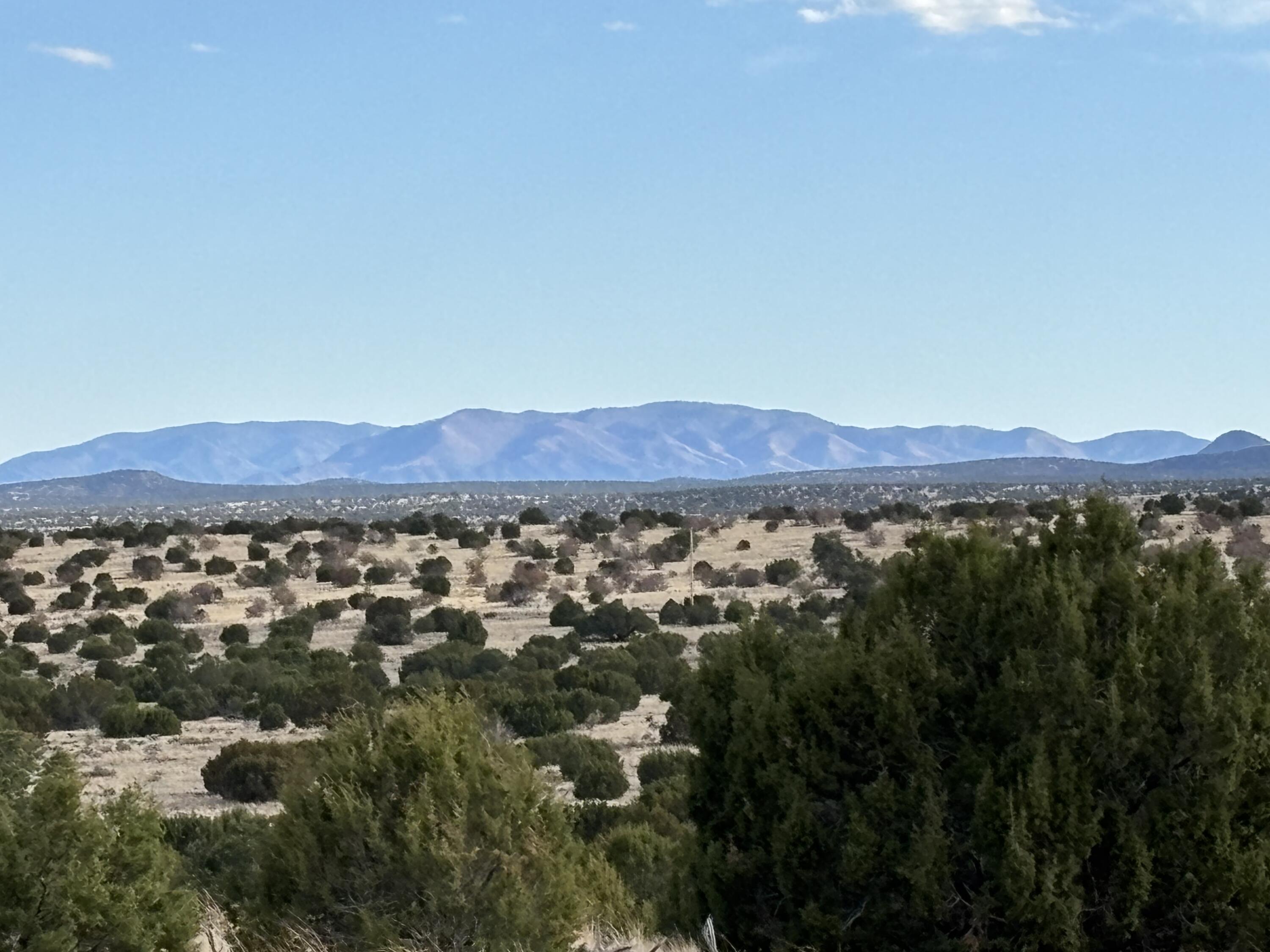 Lot 24 Pinon Springs Road, Magdalena, New Mexico image 2