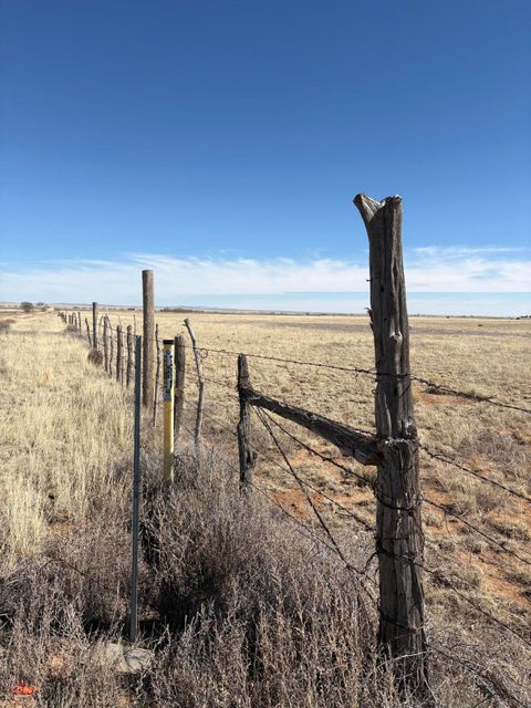 Vacant Land For Sale - Dorthea<br/> Torrance County, Moriarty, NM 87035