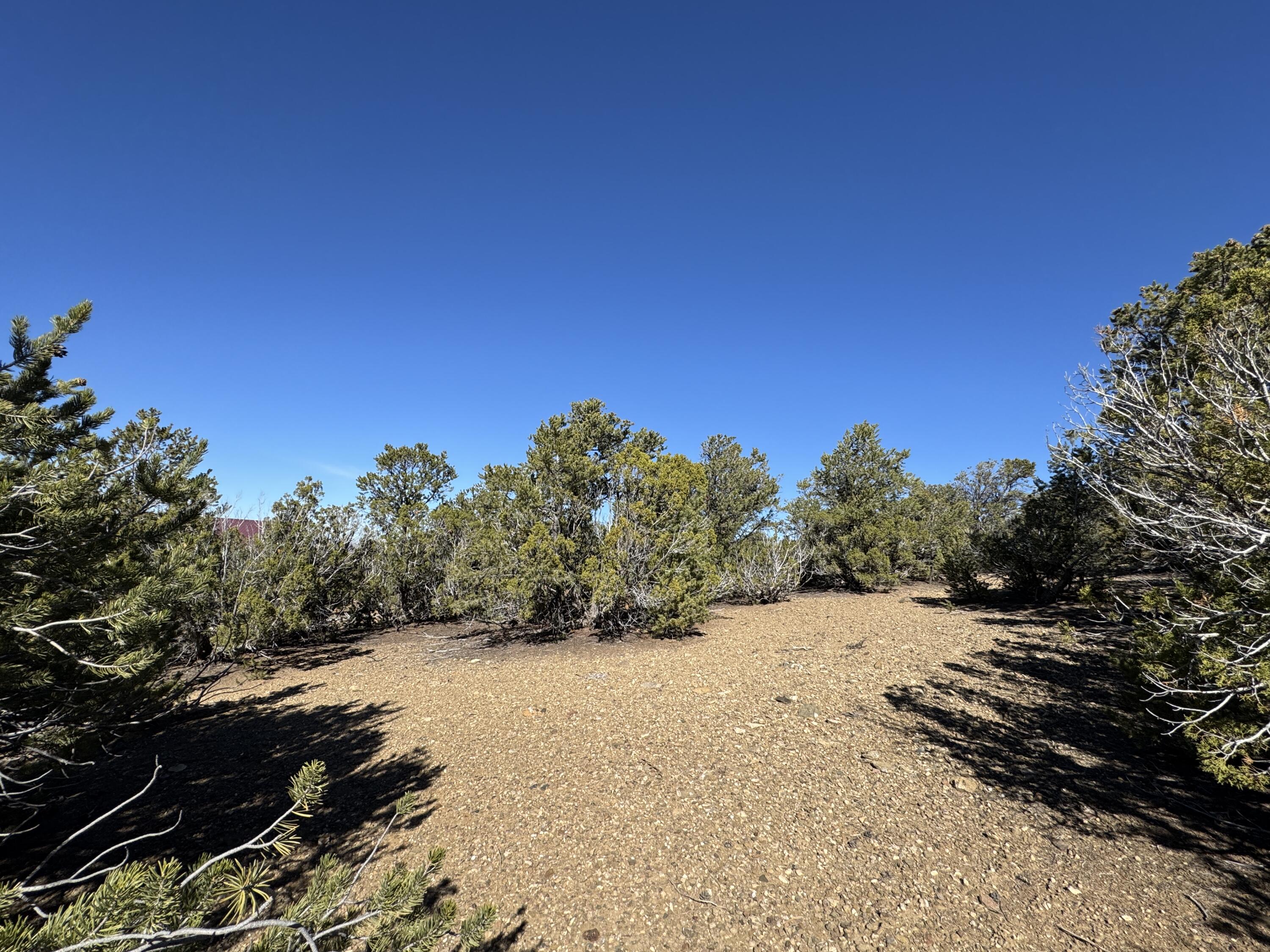 Tract 4 Verde Road, Taos, New Mexico image 2