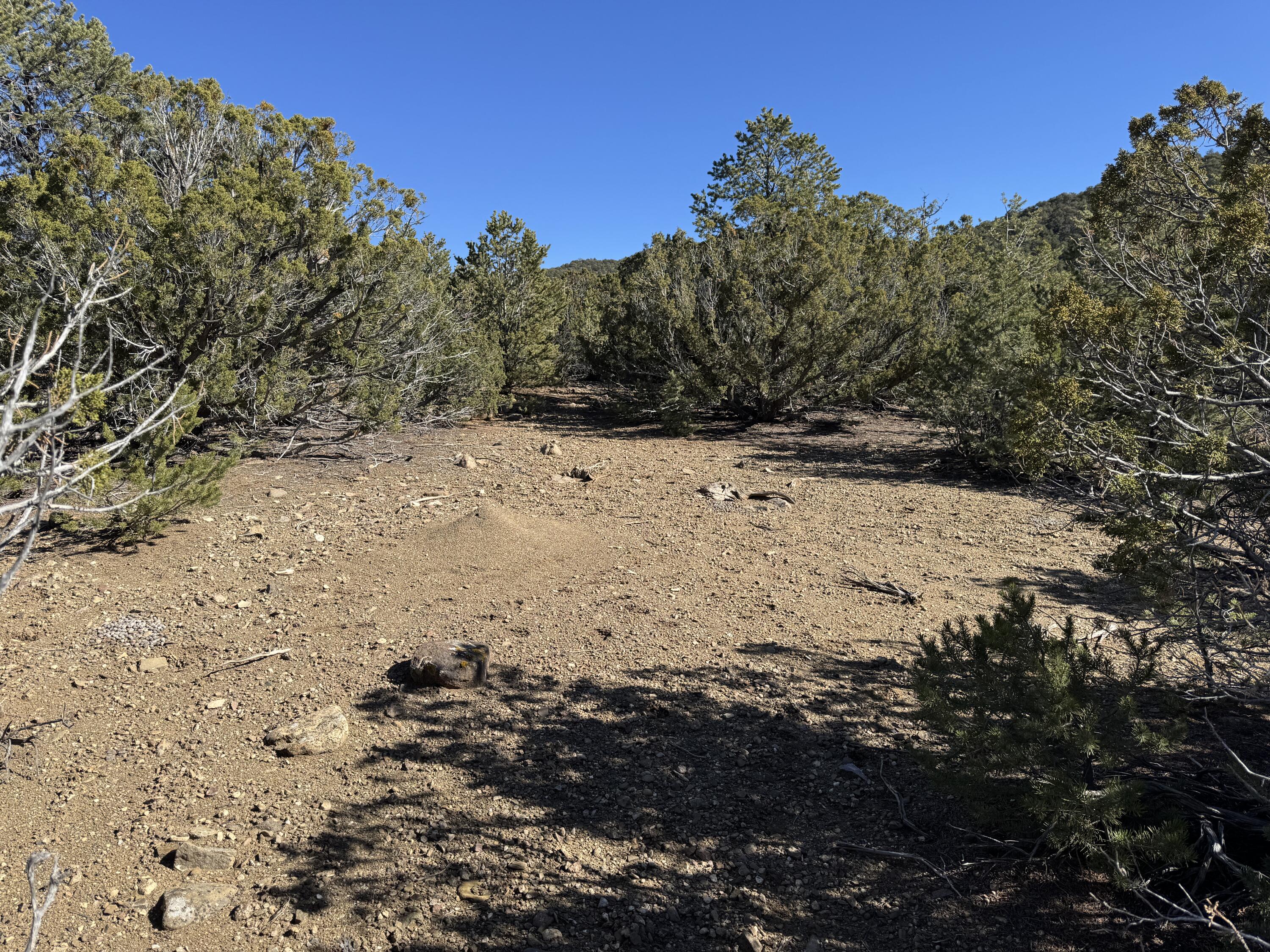 Tract 4 Verde Road, Taos, New Mexico image 4