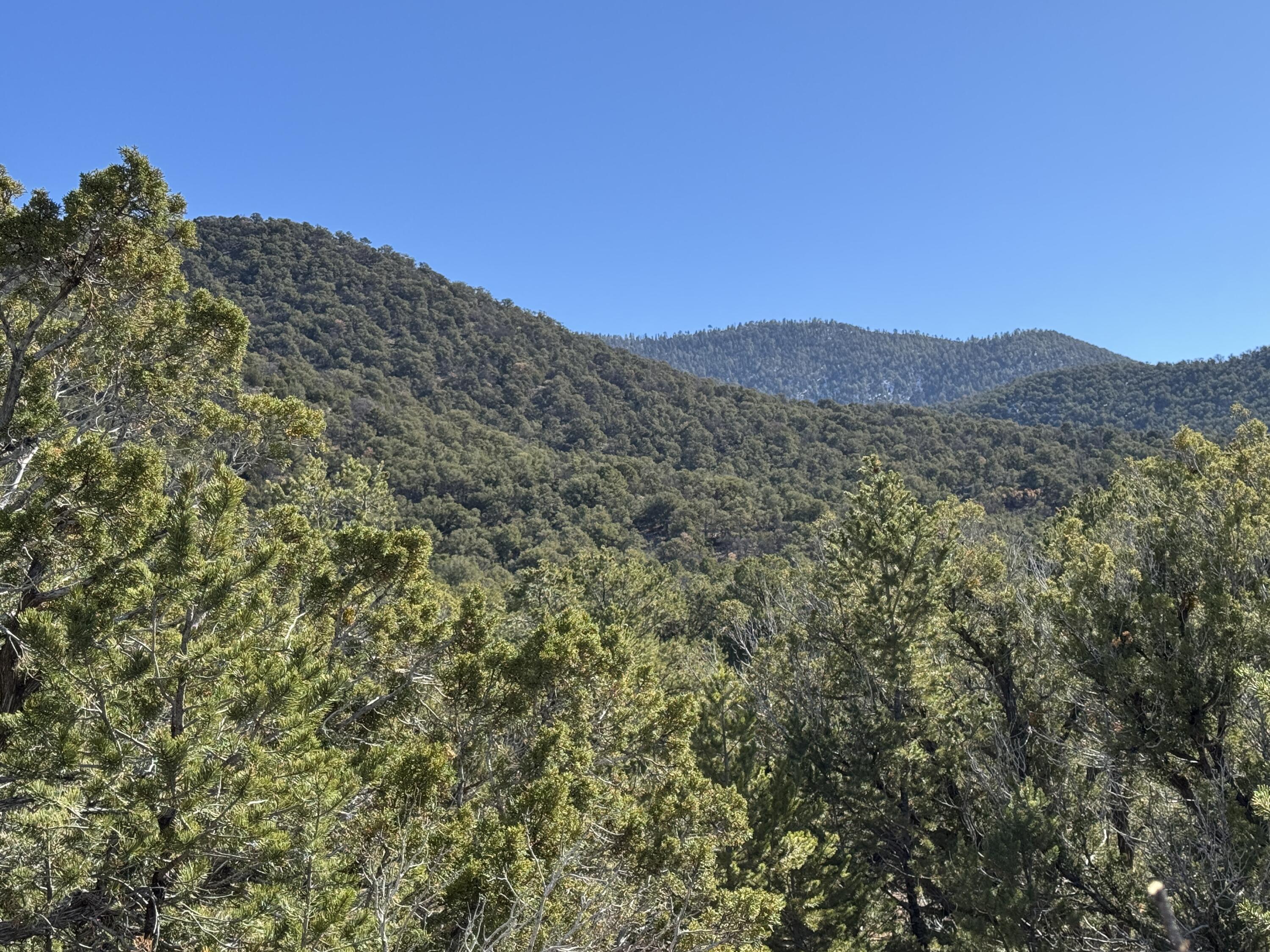 Tract 4 Verde Road, Taos, New Mexico image 3