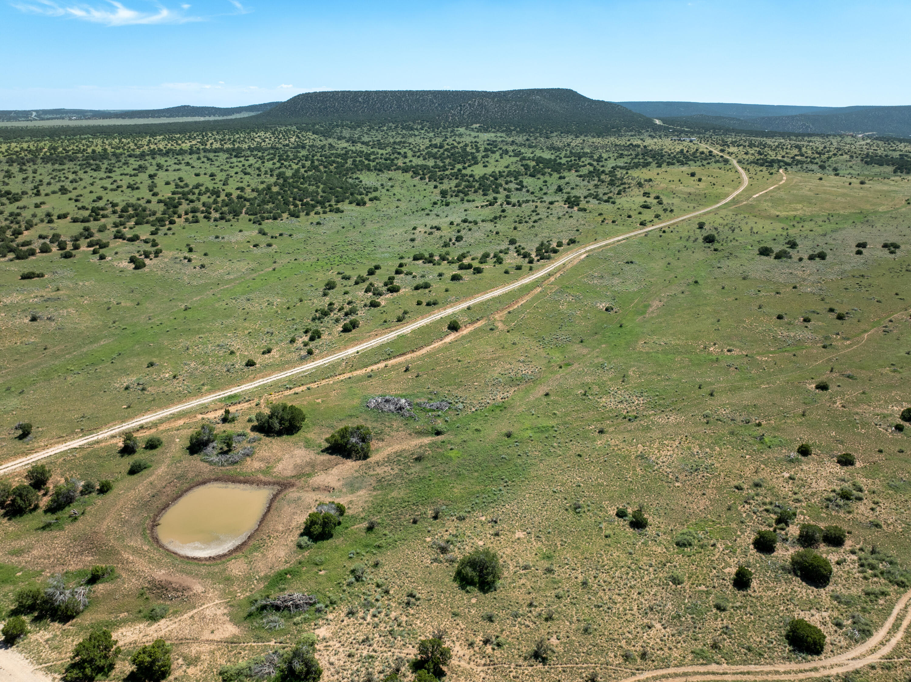 5606 New Mexico Highway 55, Mountainair, New Mexico image 10