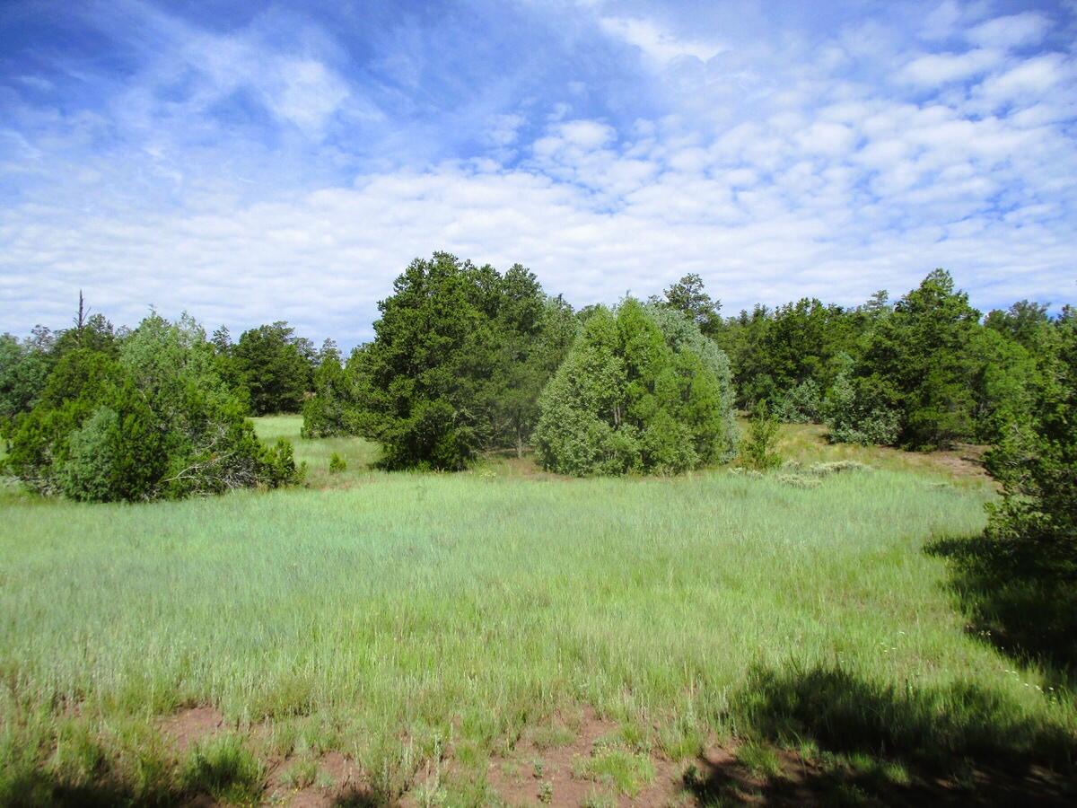 Lots 5 & 6 Black Bear Road