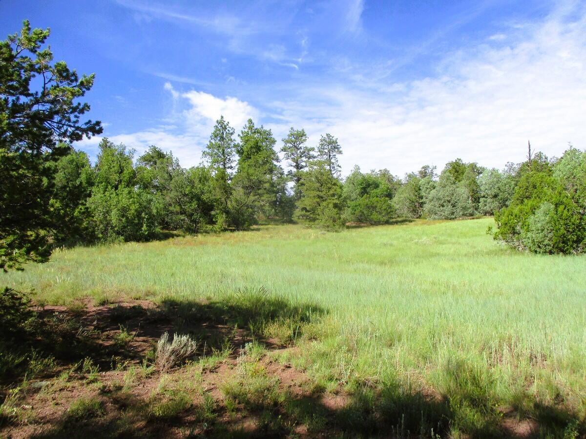 Lots 5 & 6 Black Bear Road