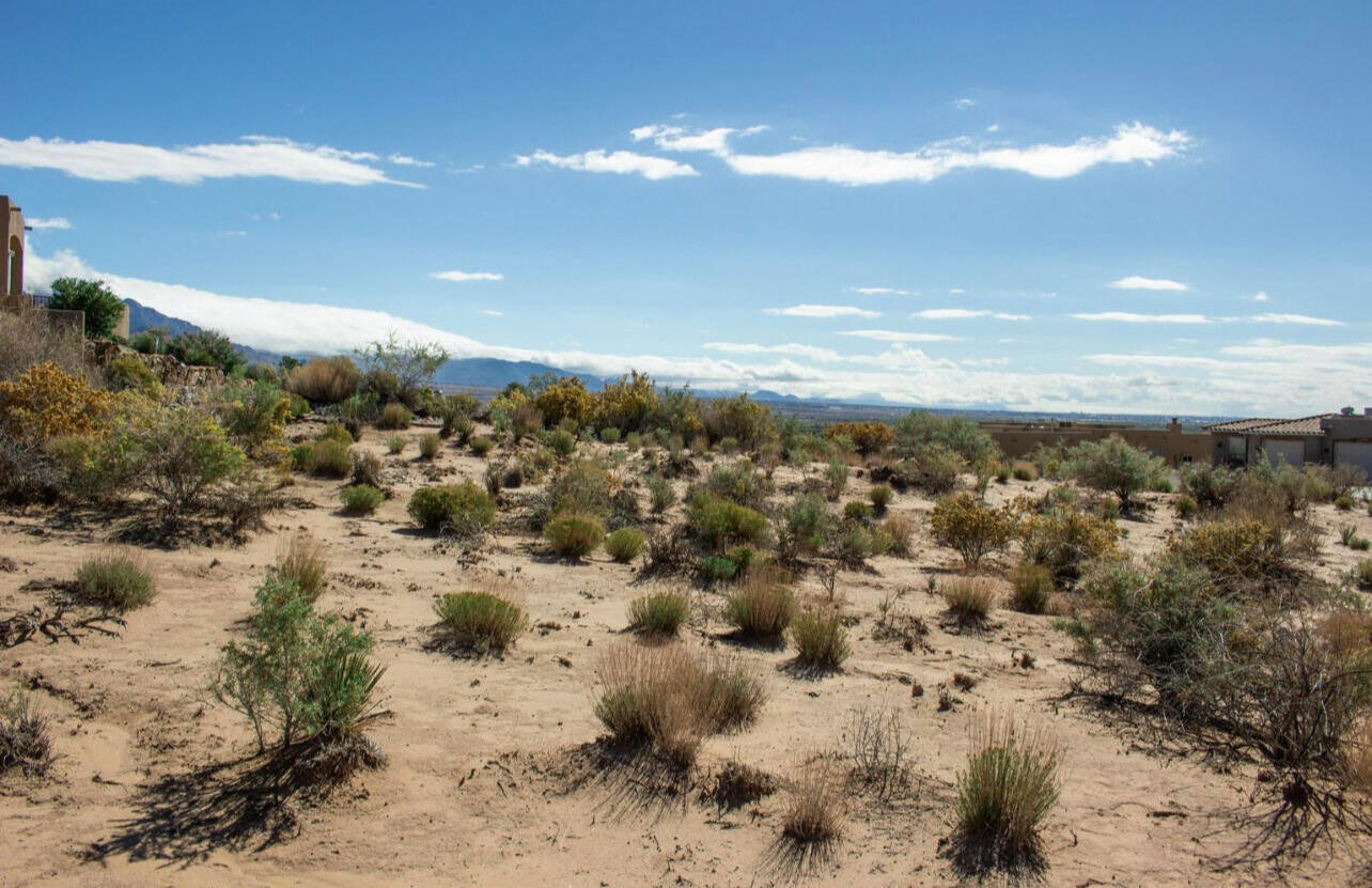 6517 Milpa Alta Road, Rio Rancho, New Mexico image 4