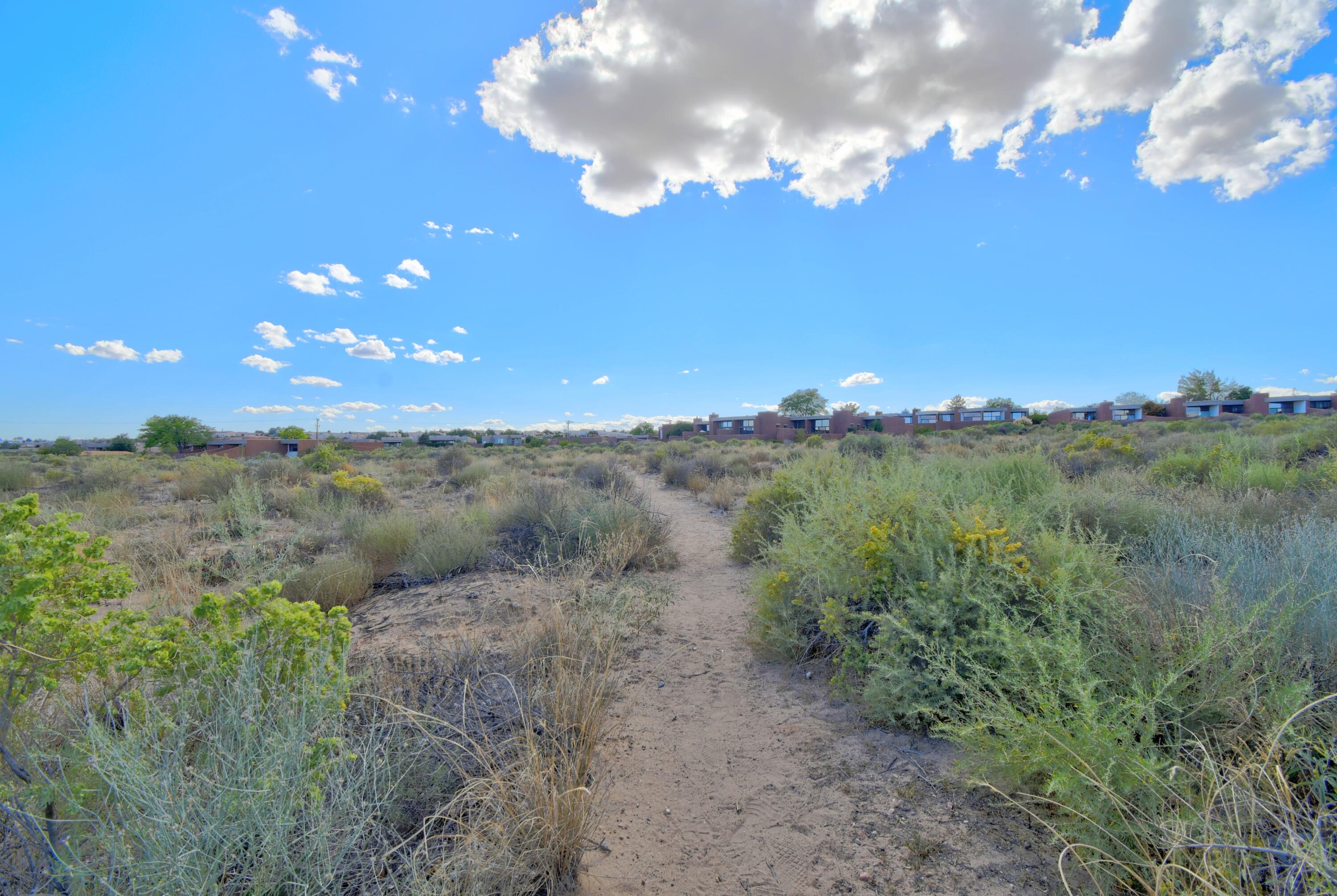 3 Arco Court, Albuquerque, New Mexico image 41