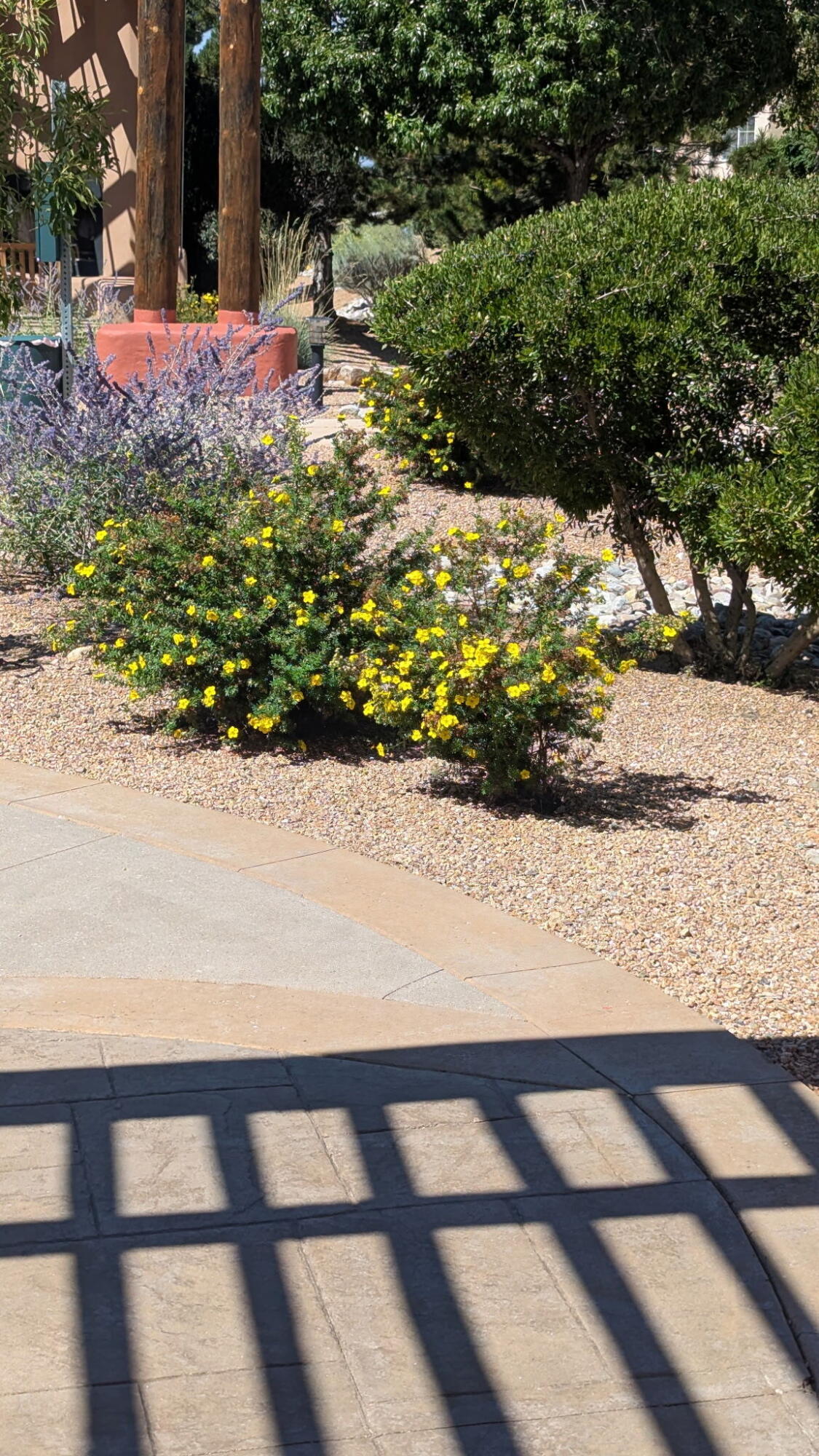 2210 Miguel Chavez Road UNIT 1423