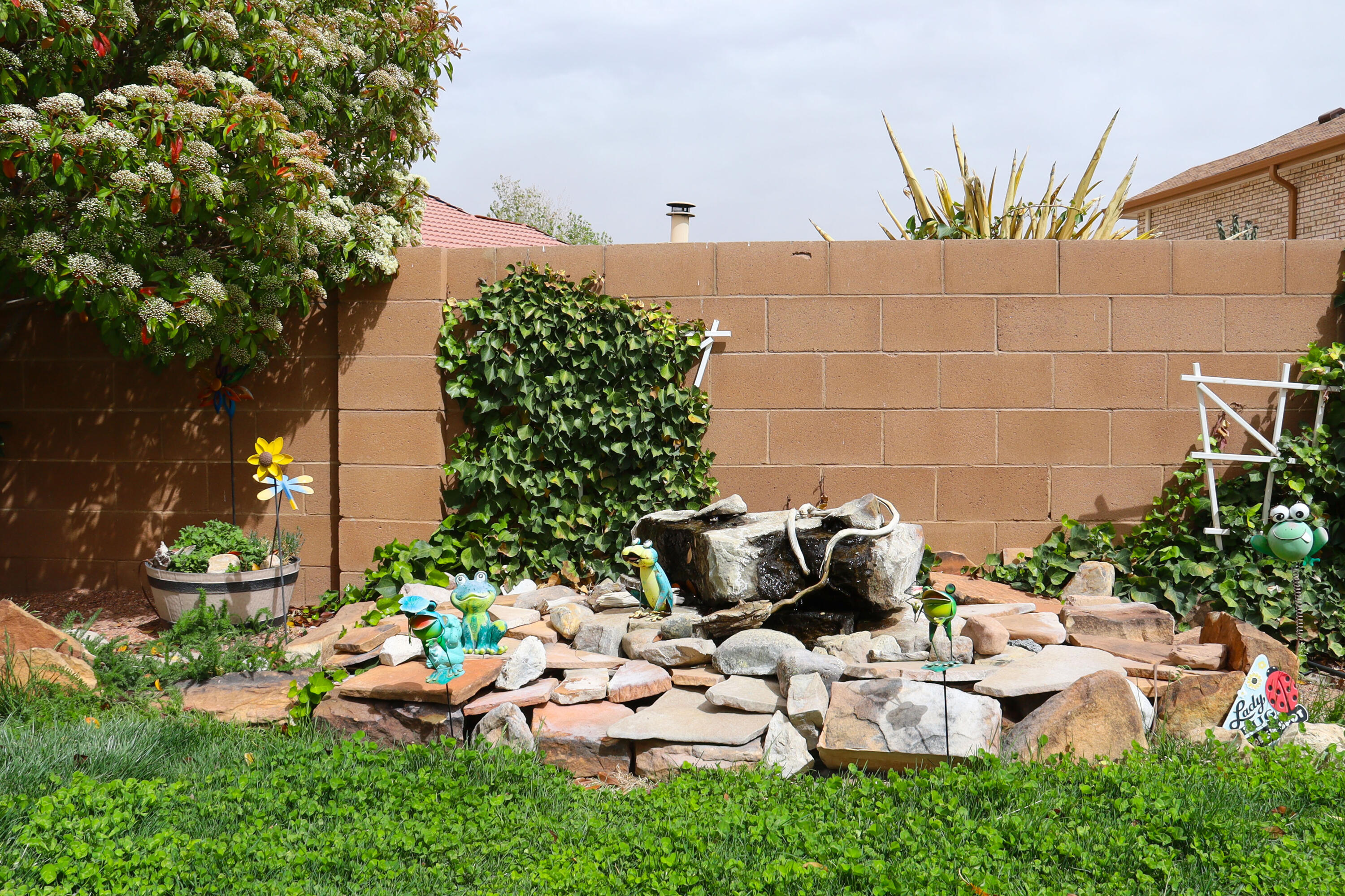 9508 Cody Street, Albuquerque, New Mexico image 29