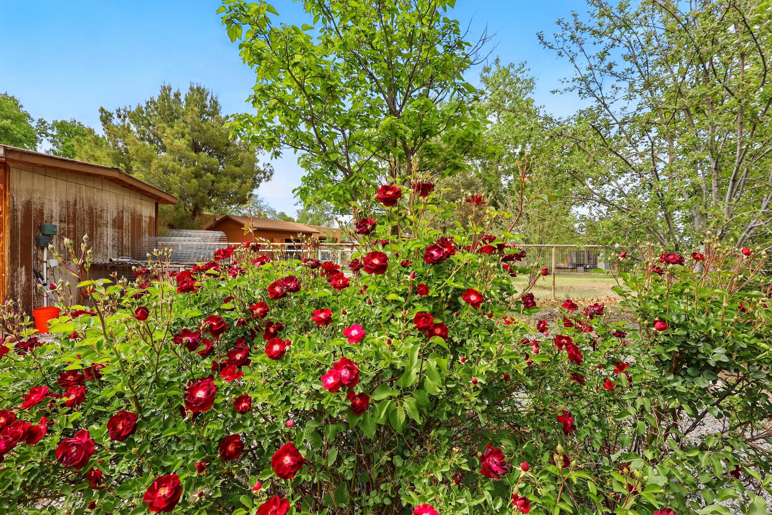 3 Shadow View Court, Los Lunas, New Mexico image 32