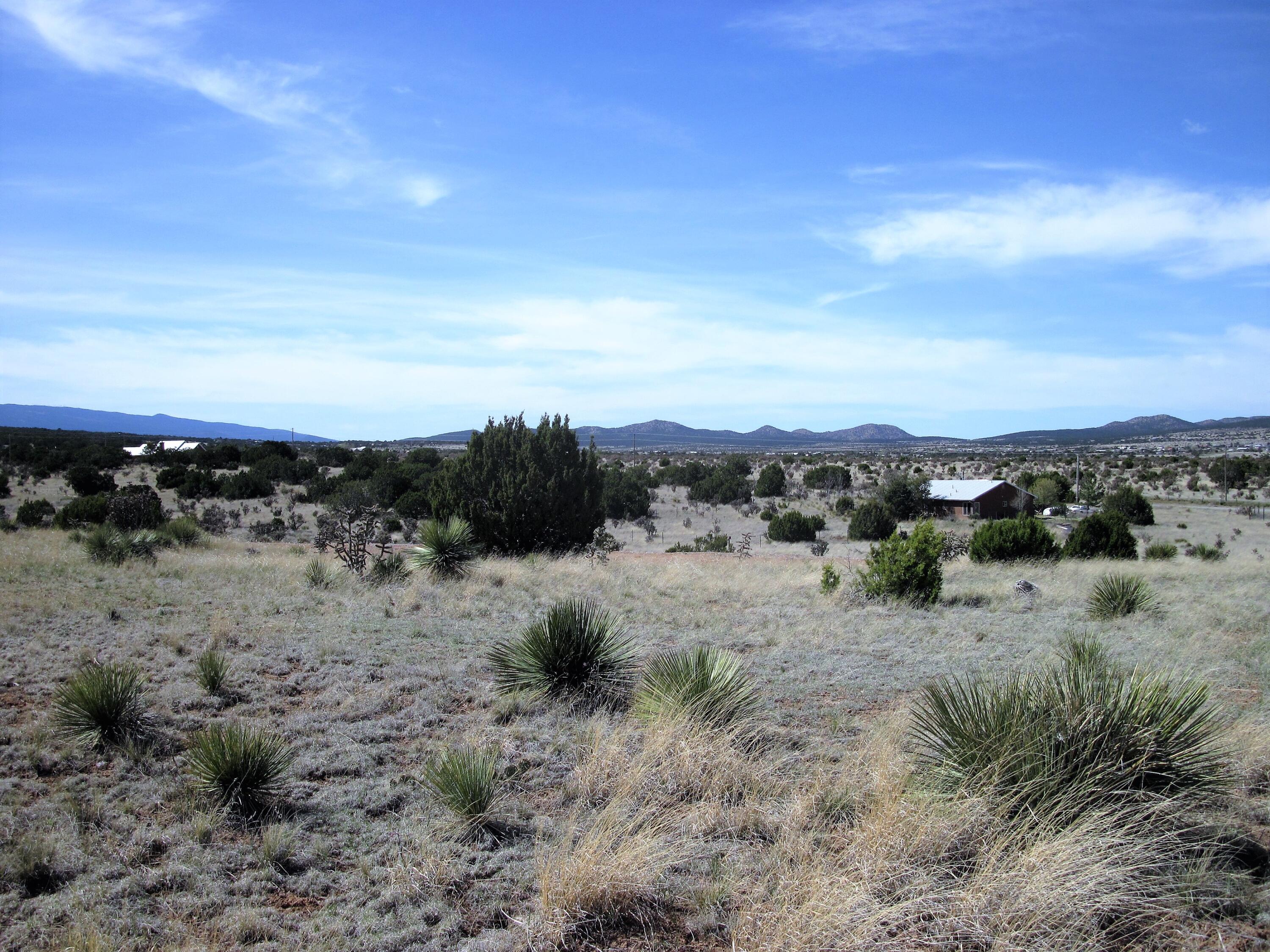 7 Cajun Court, Edgewood, New Mexico image 3