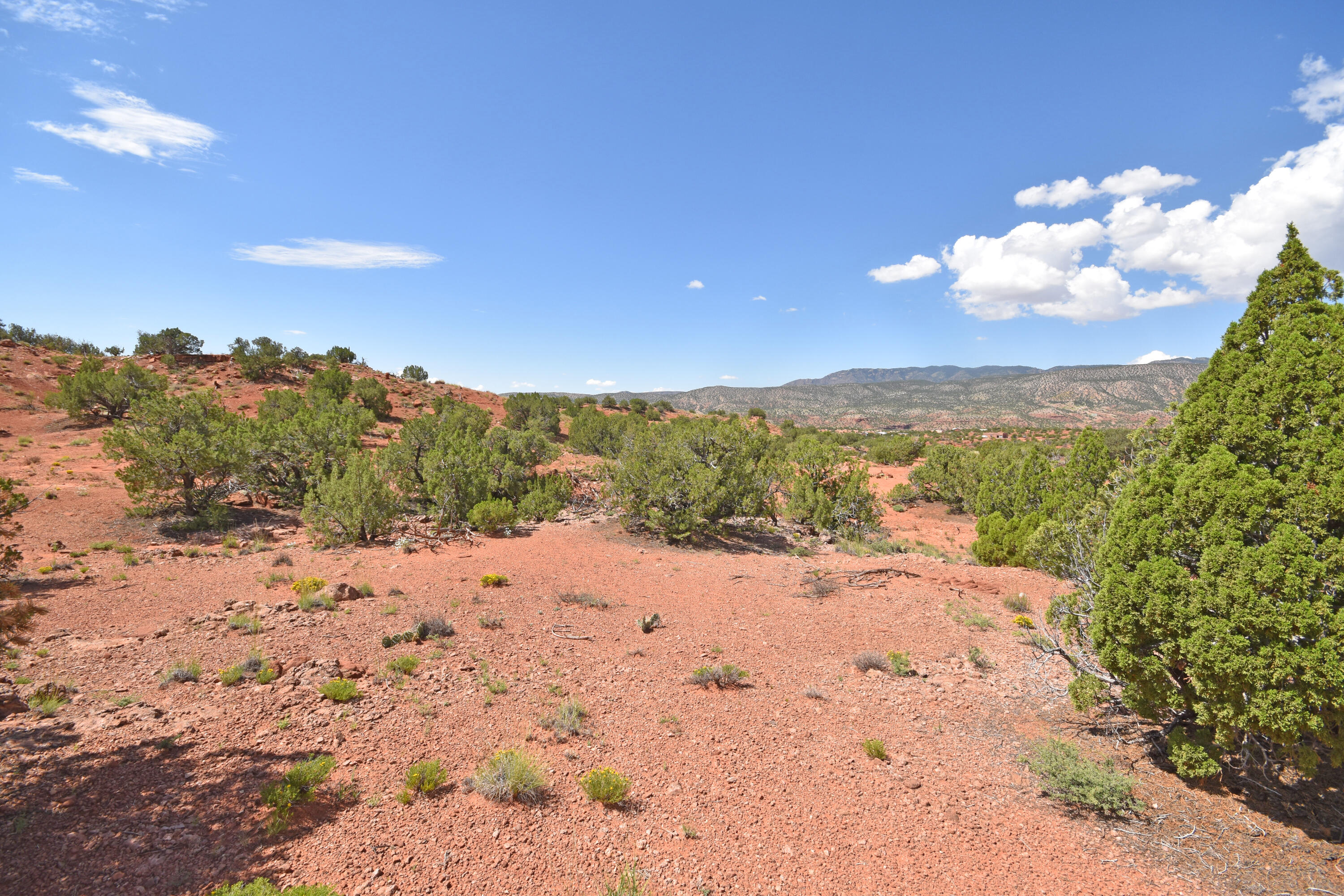 Lot 17 Camino Amarillo, Jemez Pueblo, New Mexico image 7