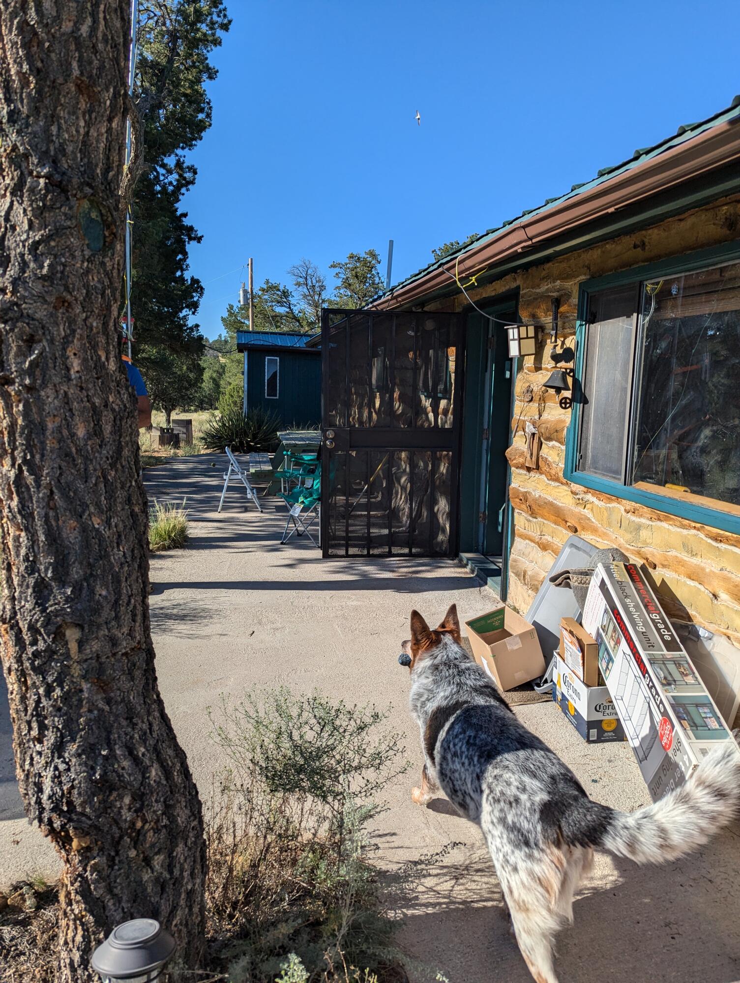 91 Misty Lane, Ramah, New Mexico image 1