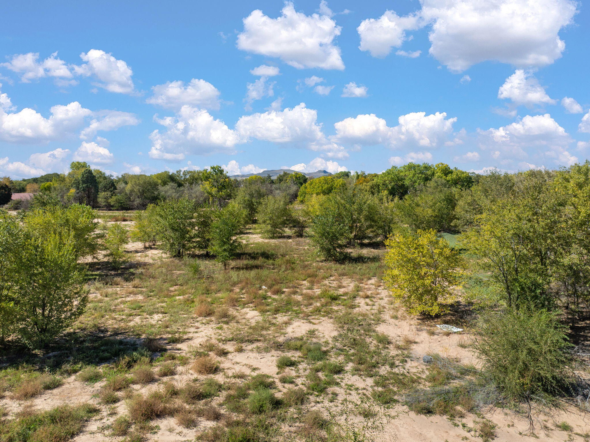 Lot 7A Ross Lane
