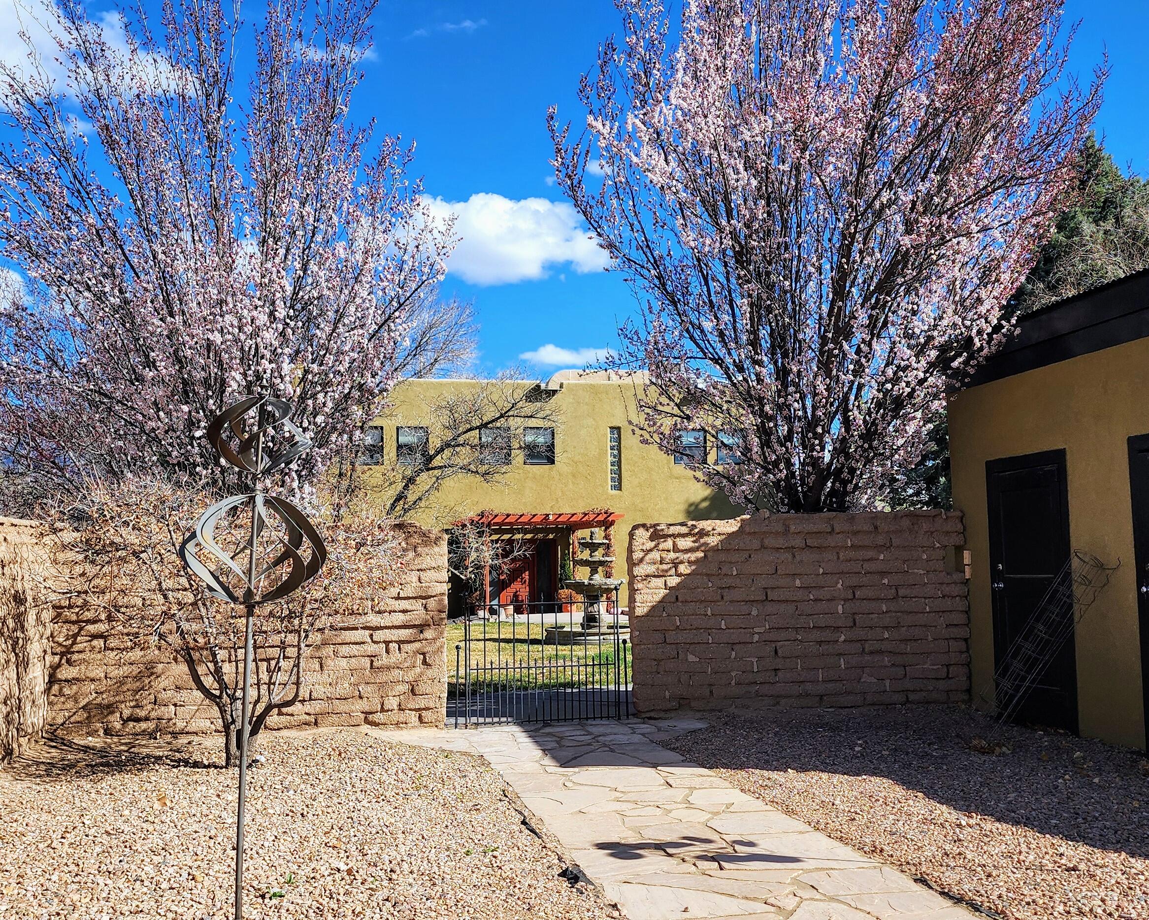 240 E Valverde Road, Corrales, New Mexico image 38