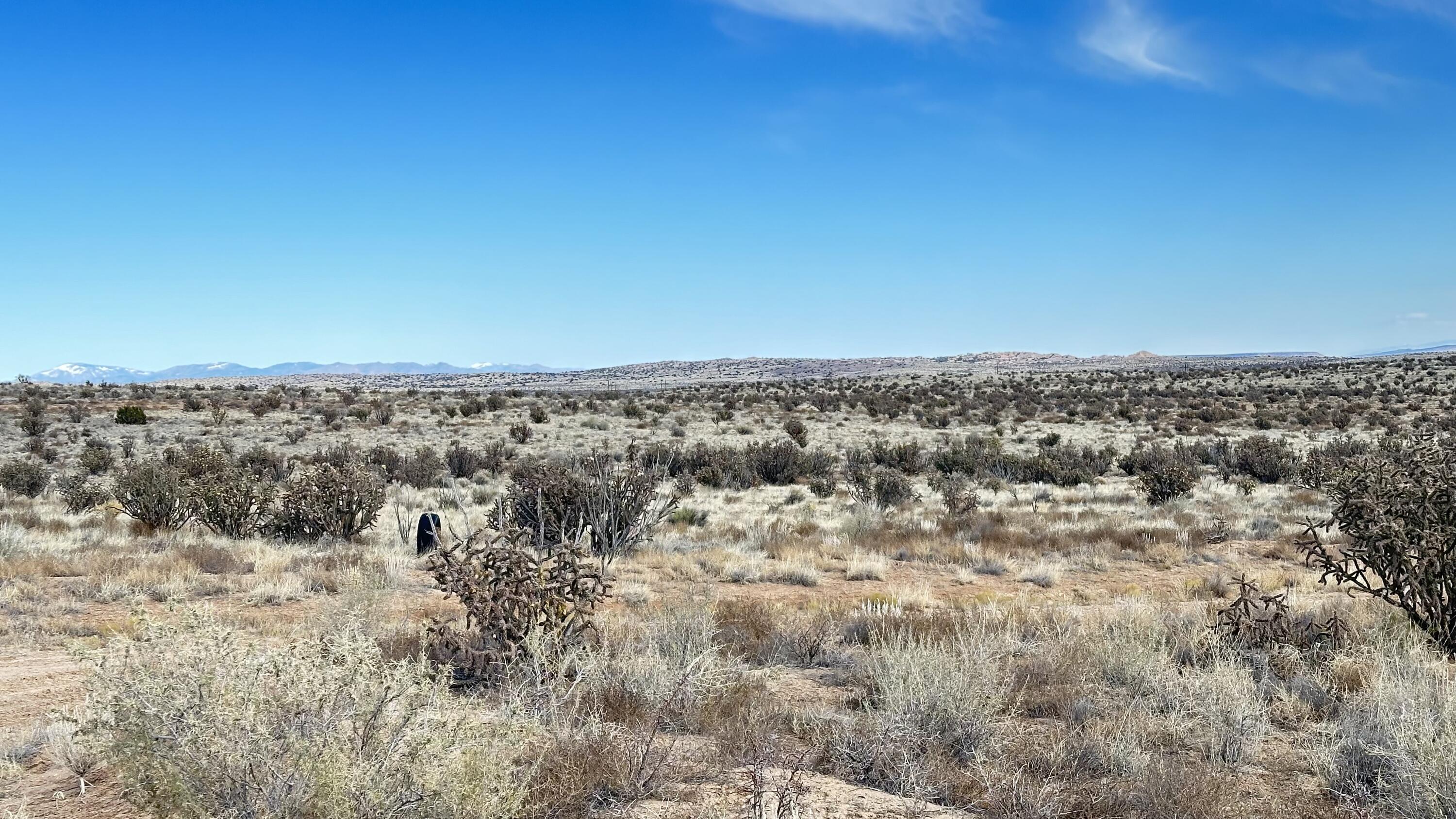 00 29th Avenue Avenue, Rio Rancho, New Mexico image 3