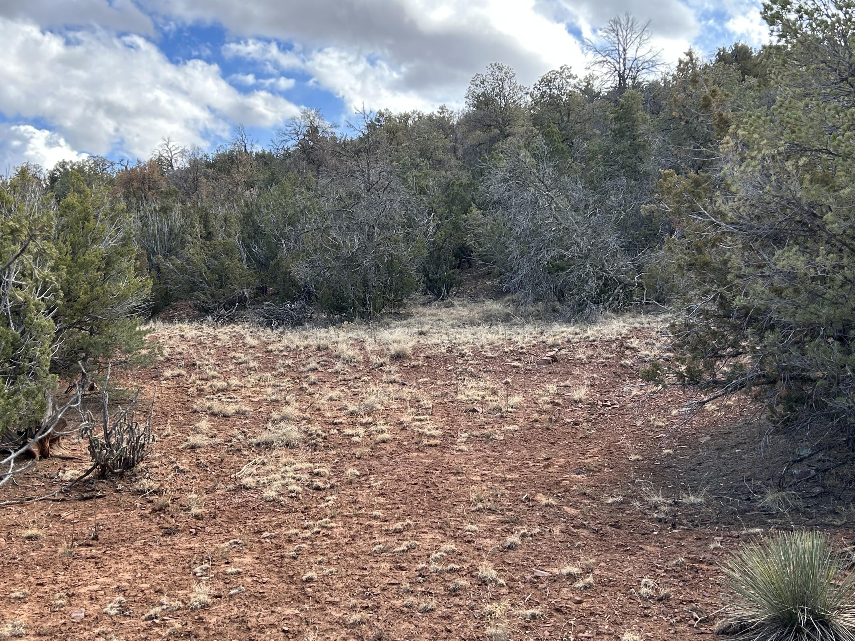 41 Storyteller Court, Sandia Park, New Mexico image 3