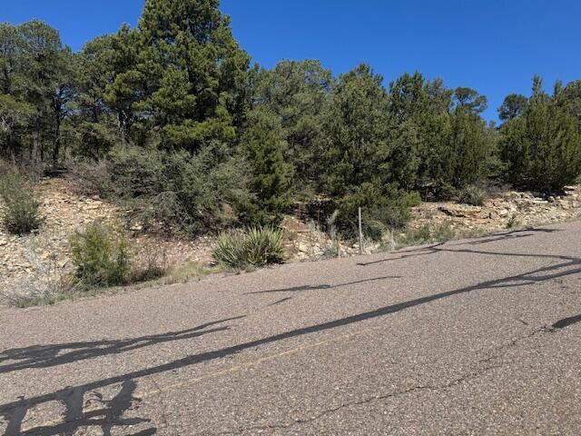 30 Rancho Verde Road, Tijeras, New Mexico image 5