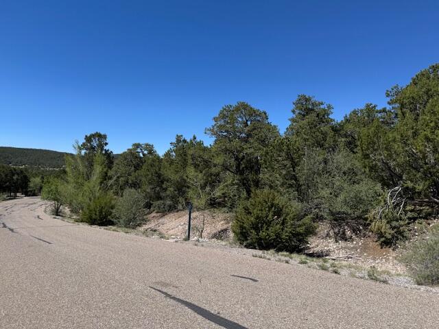 30 Rancho Verde Road, Tijeras, New Mexico image 3