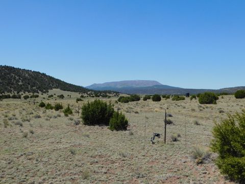 Vacant Land For Sale - 70 ACRES South Coyote Trail<br/> Catron County, Quemado, NM 87829