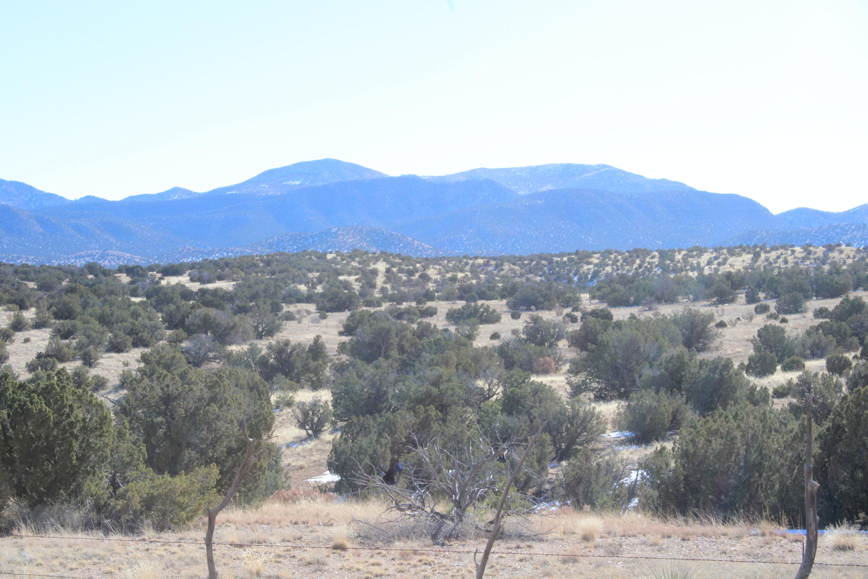 105 Acres Demetrio Road, Sandia Park, New Mexico image 4